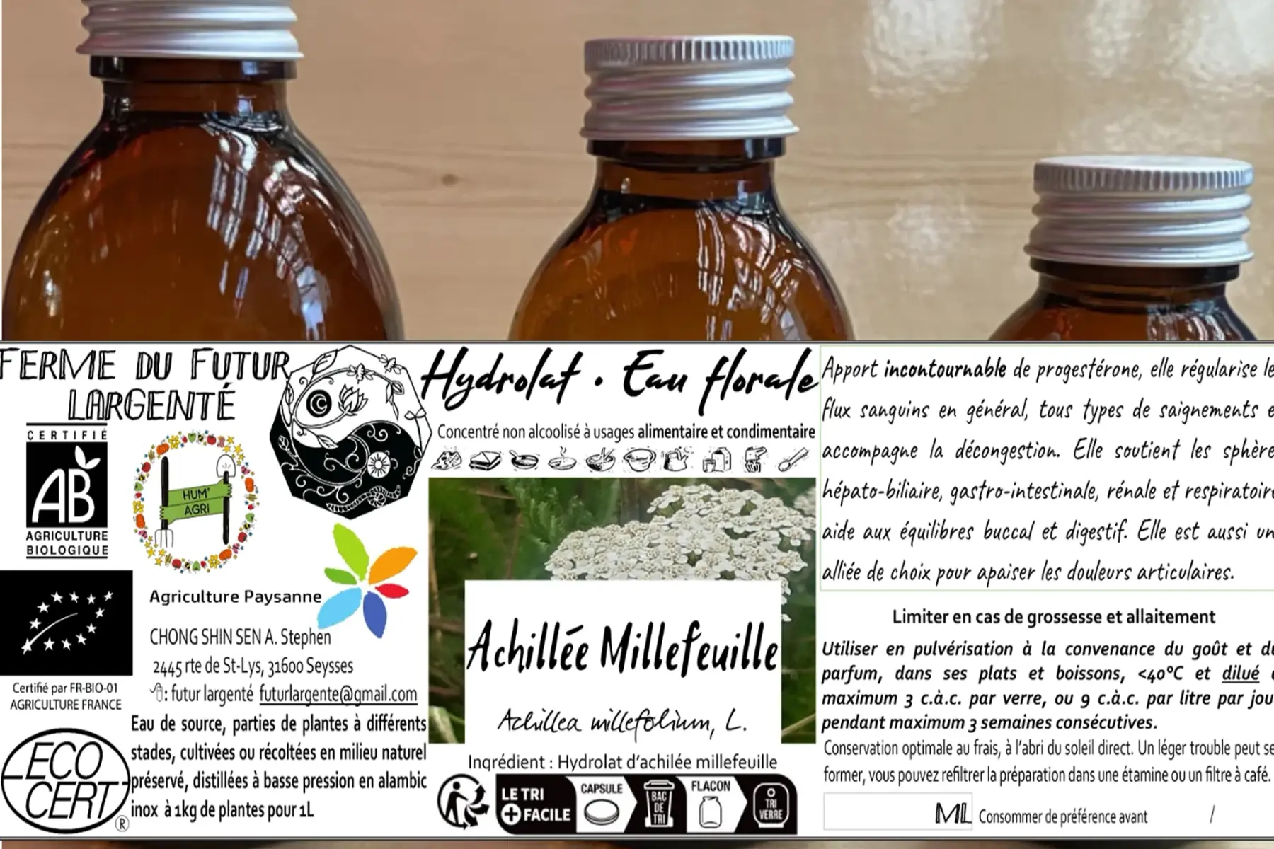 Achillée Millefeuille