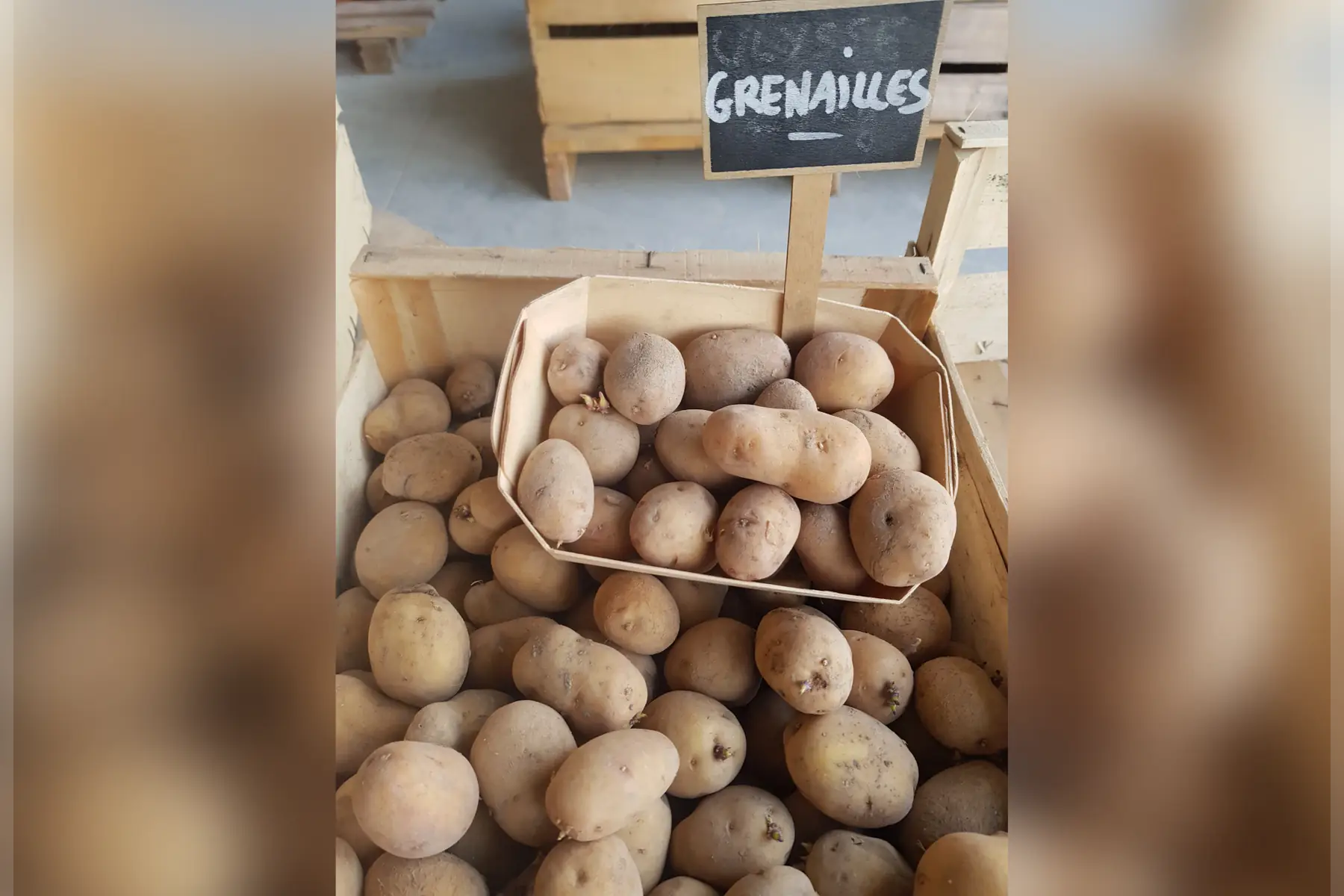 pommes de terre grenailles bio