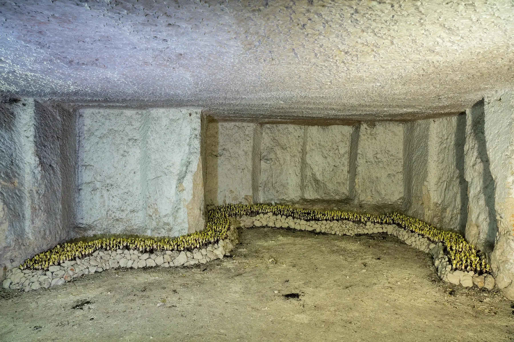 La Ferme des Remblais