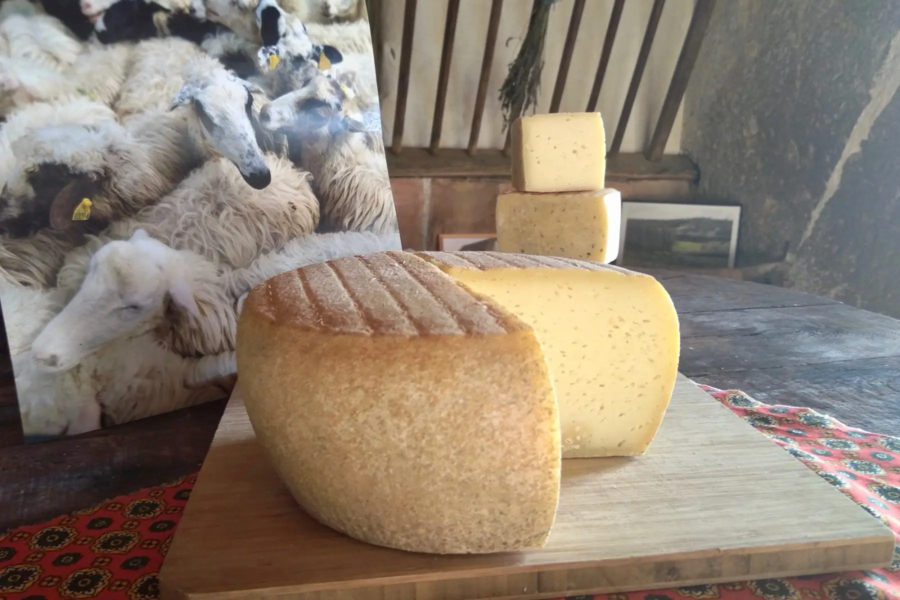 Tomme de Brebis