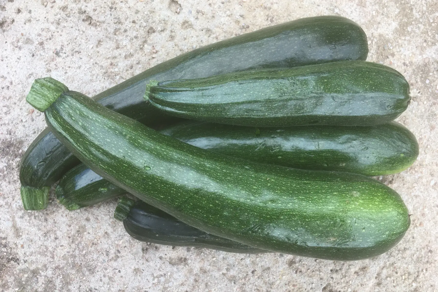 courgette