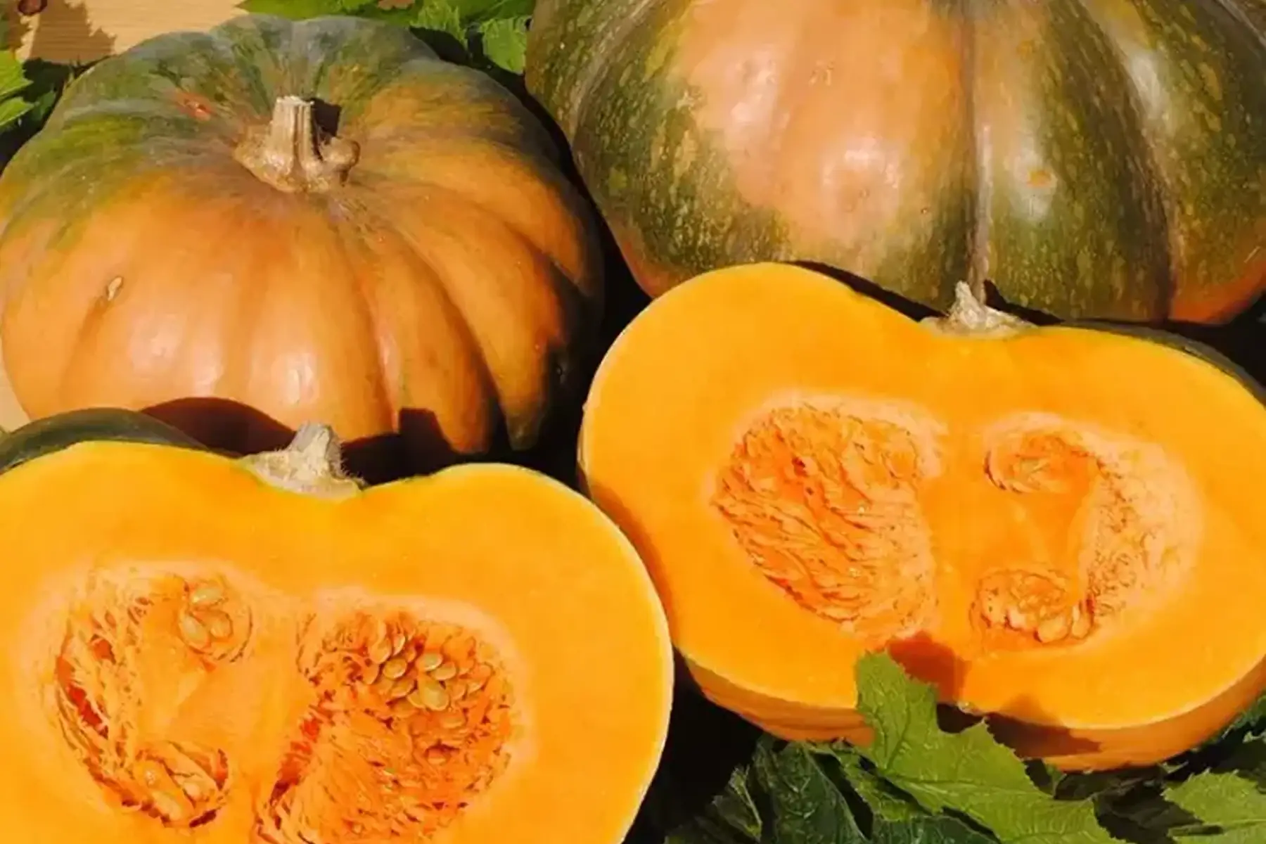 courge musquée de provence