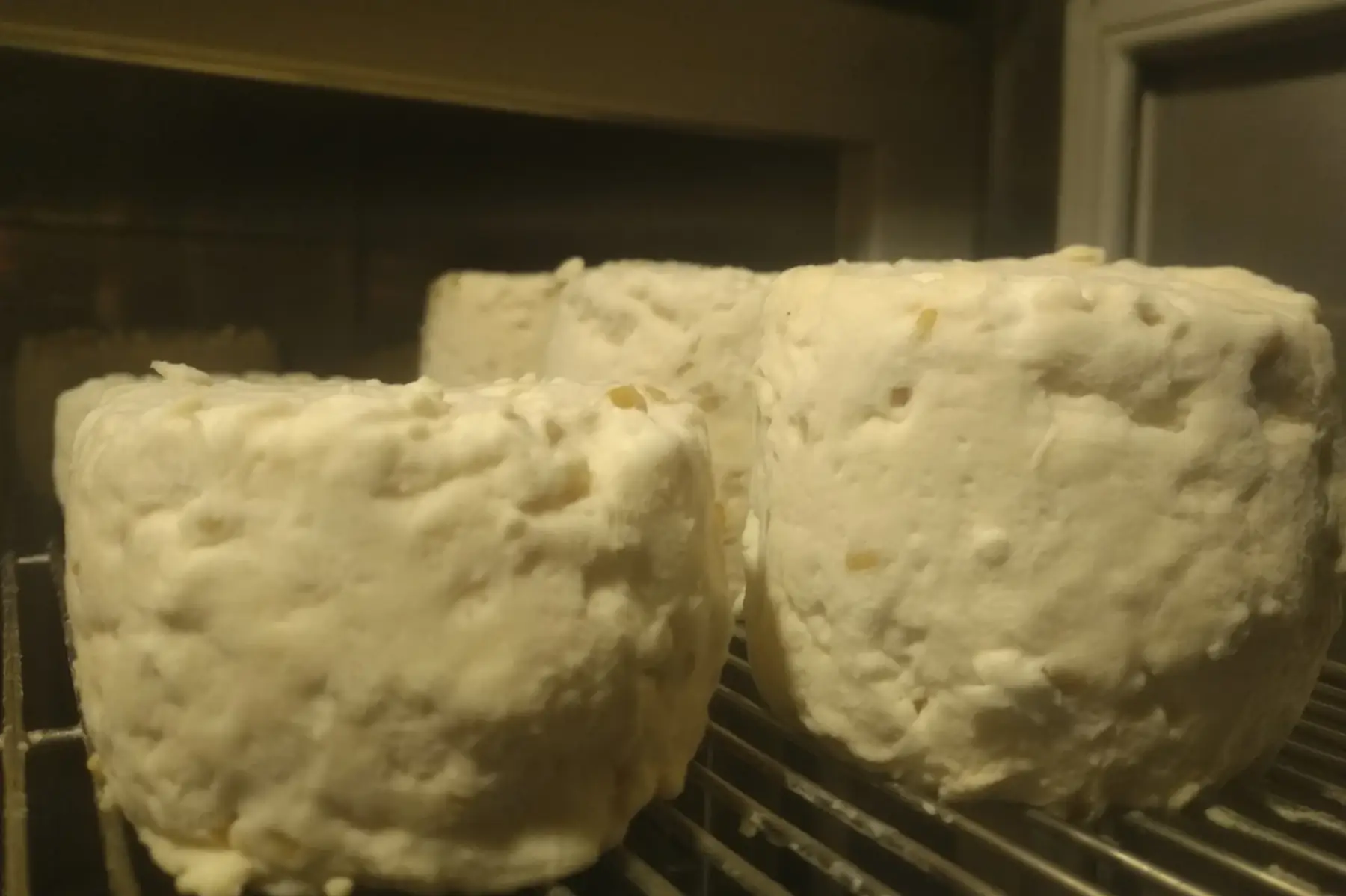 fromage de chèvre au fenugrec