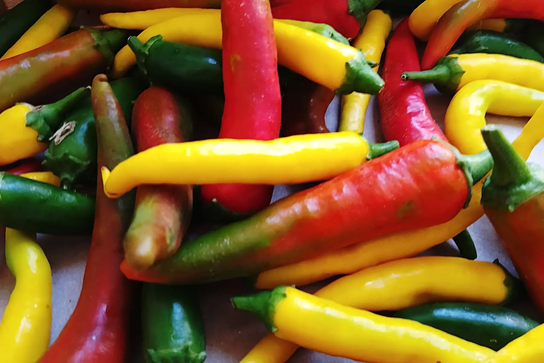 piments forts mélangés