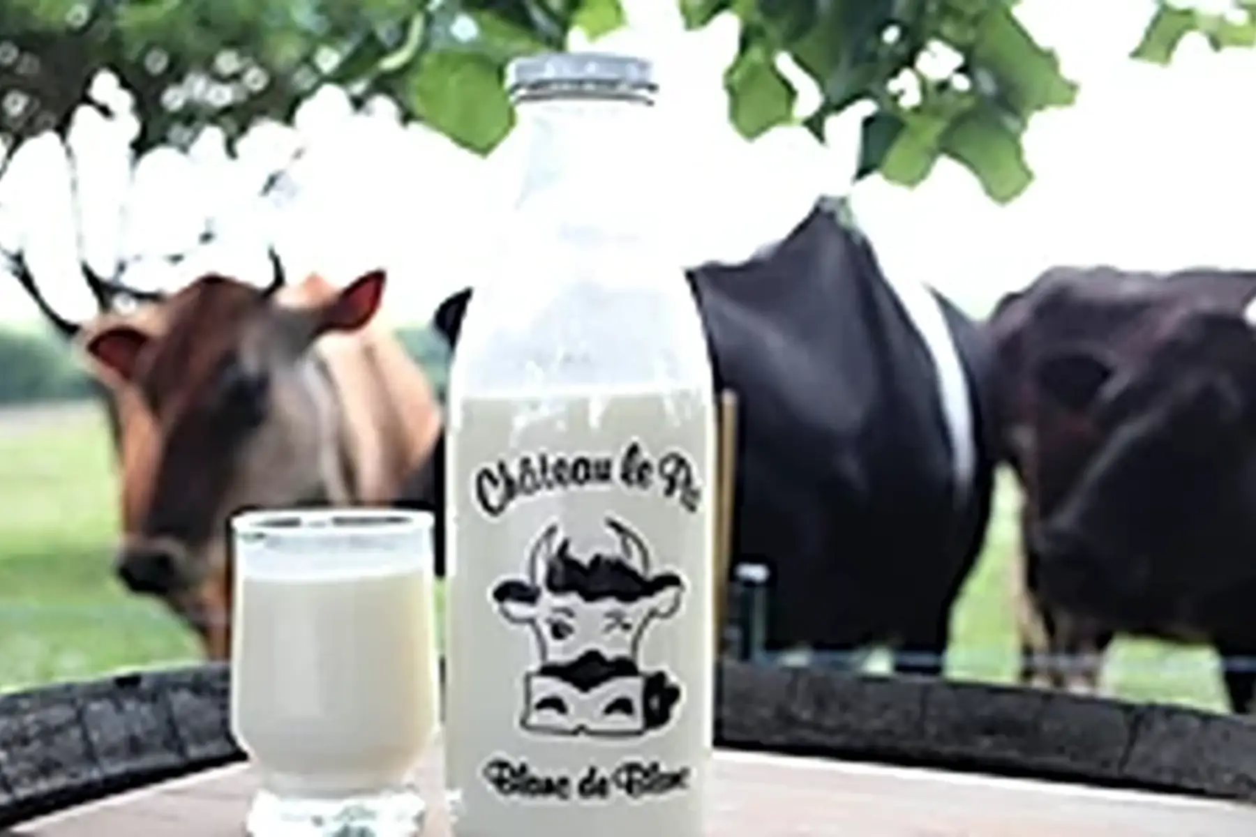 lait de vache cru entier - bouteille consignée