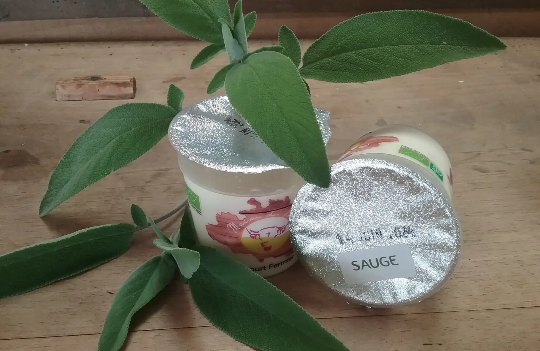 yaourt infusé à la sauge