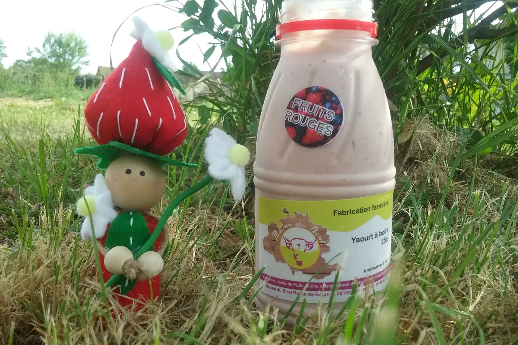 yaourt à boire fruits rouges