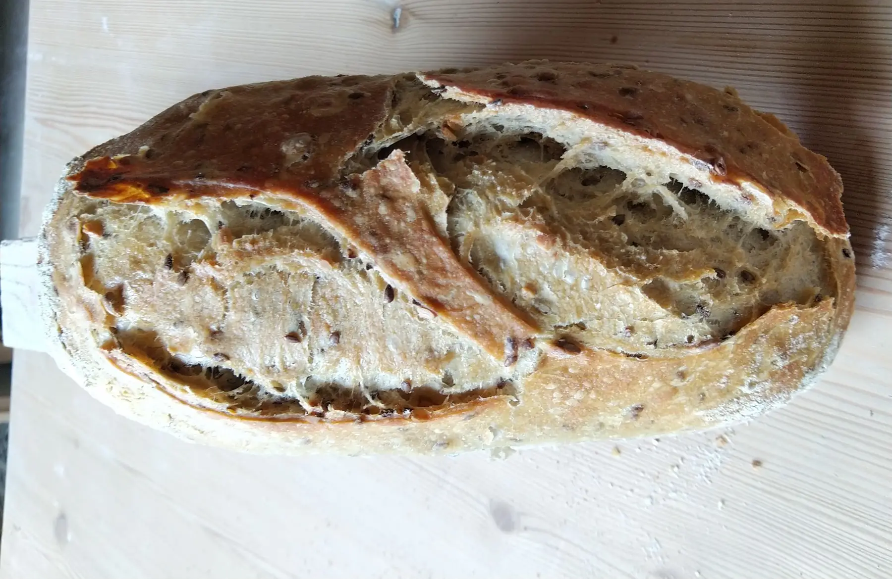 pain lin/tournesol 0,5 kg