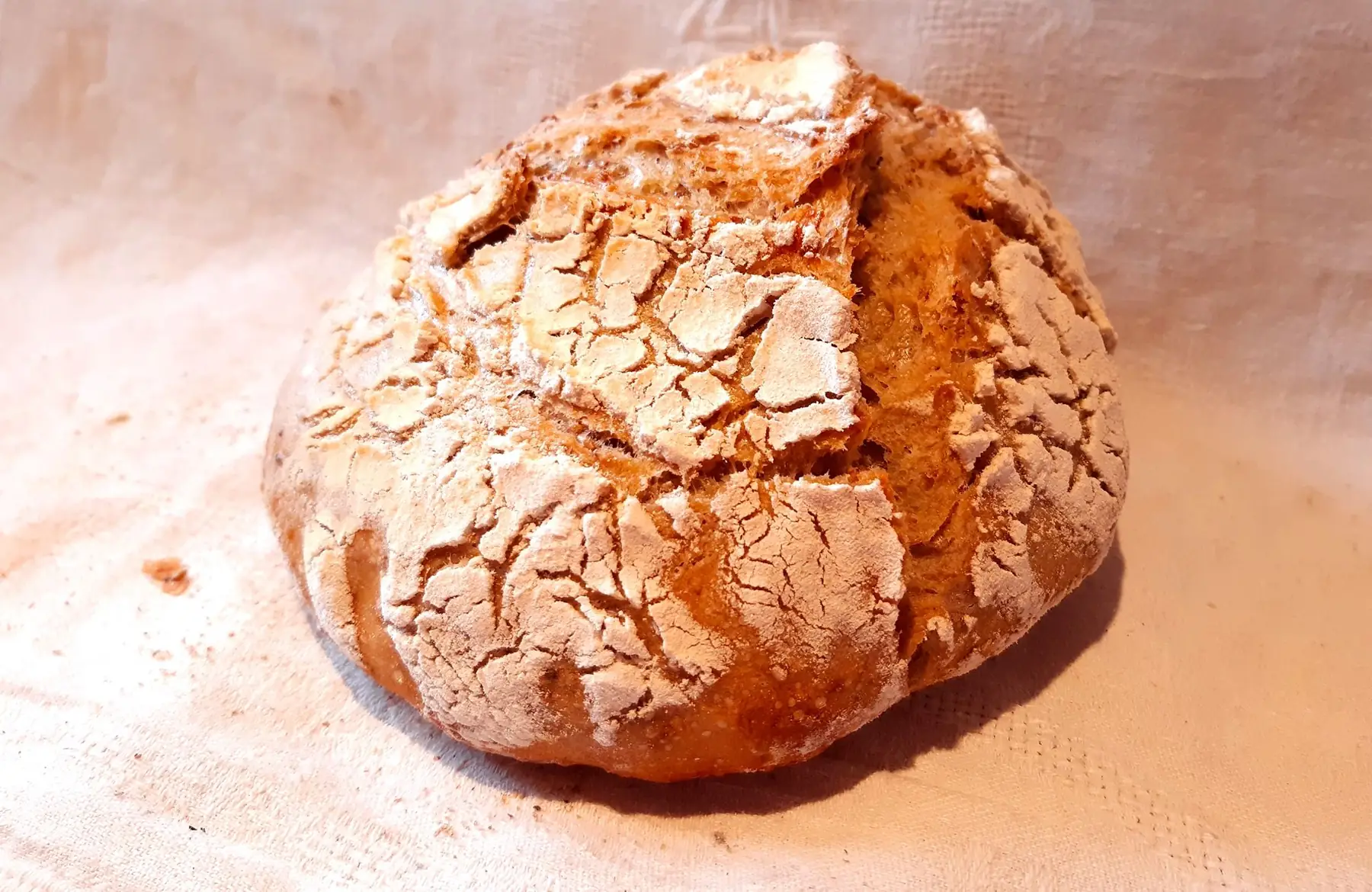 pain  sésame 0, 5 kg