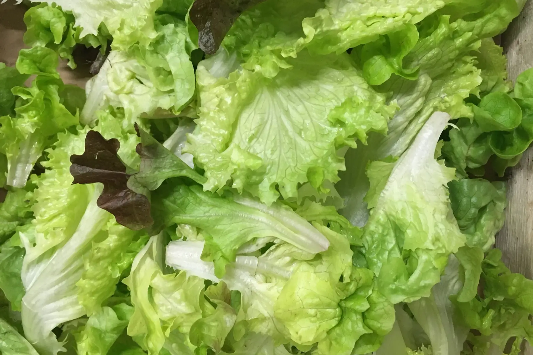 mélange salade