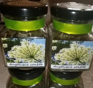 Au Jardin d'Angélique ( site de transformation : Saintes )