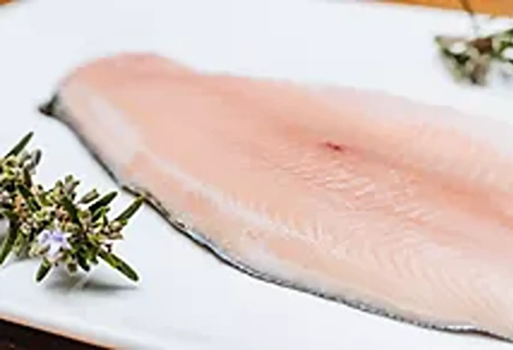 sarl les viviers cathares