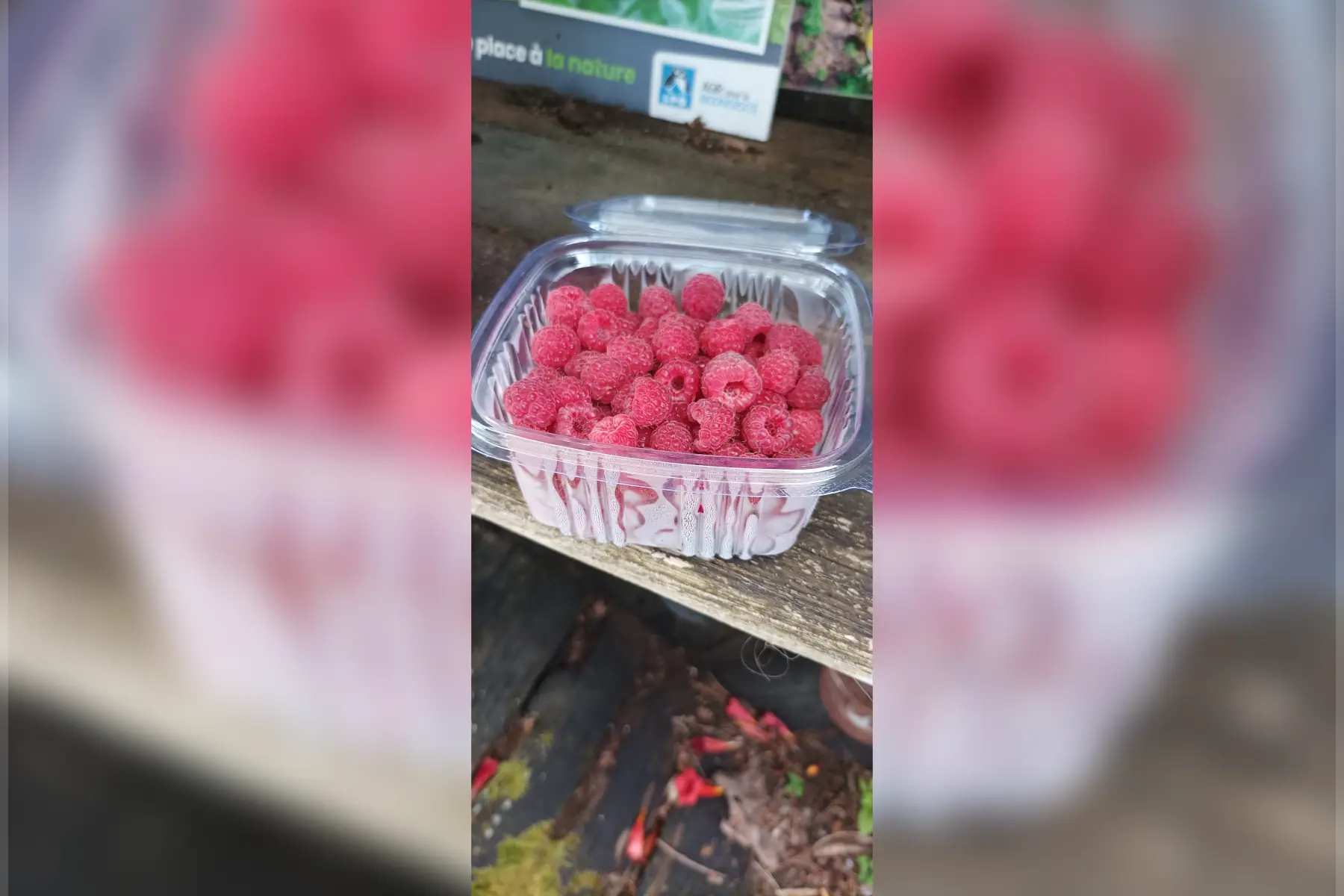framboises