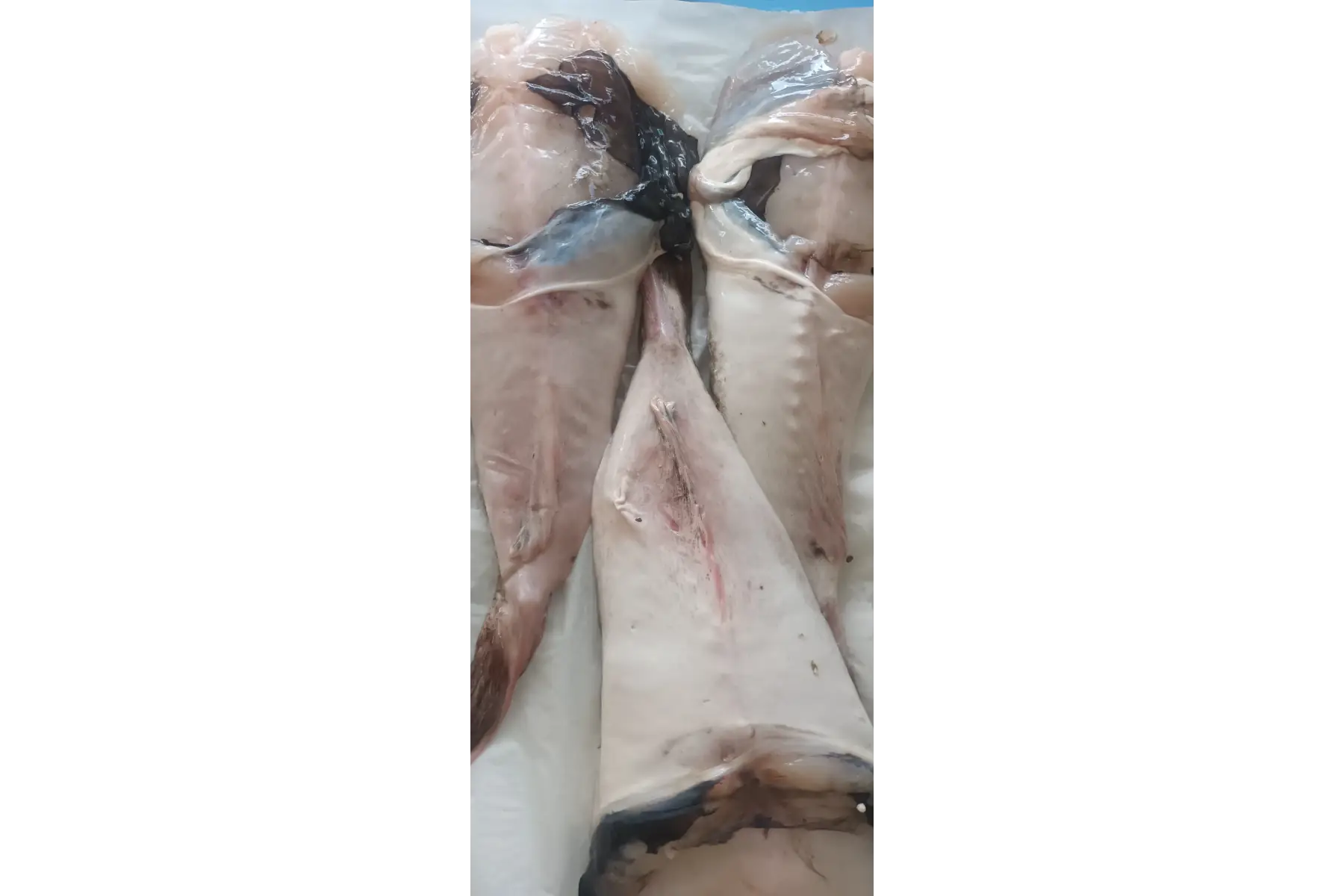 Aux Plaisirs des Terroirs