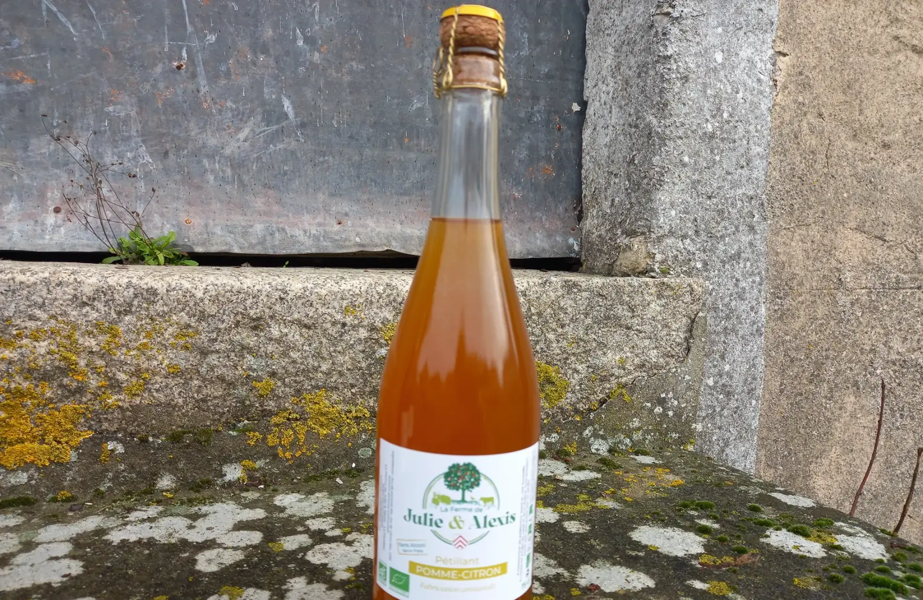 Pétillant Pomme Citron