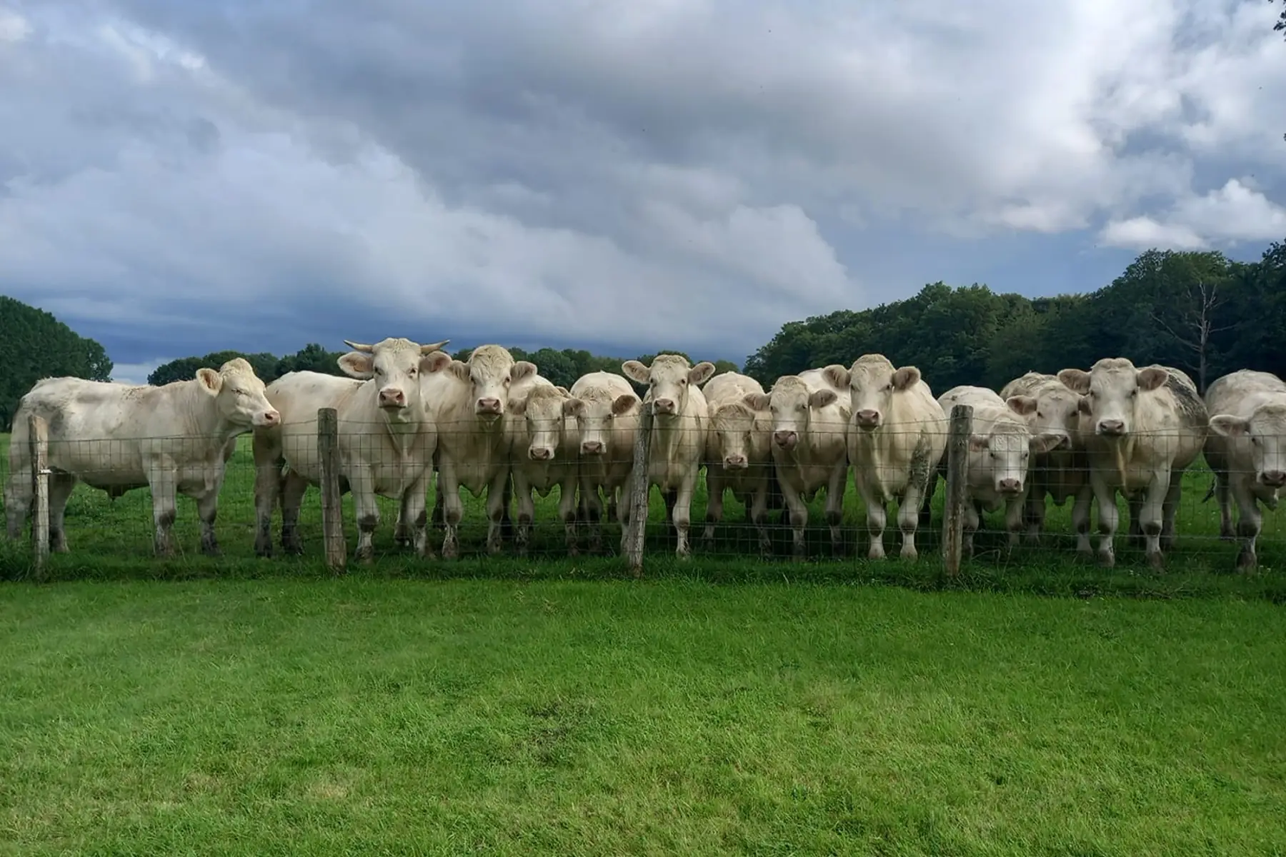 La Ferme de Julie & Alexis