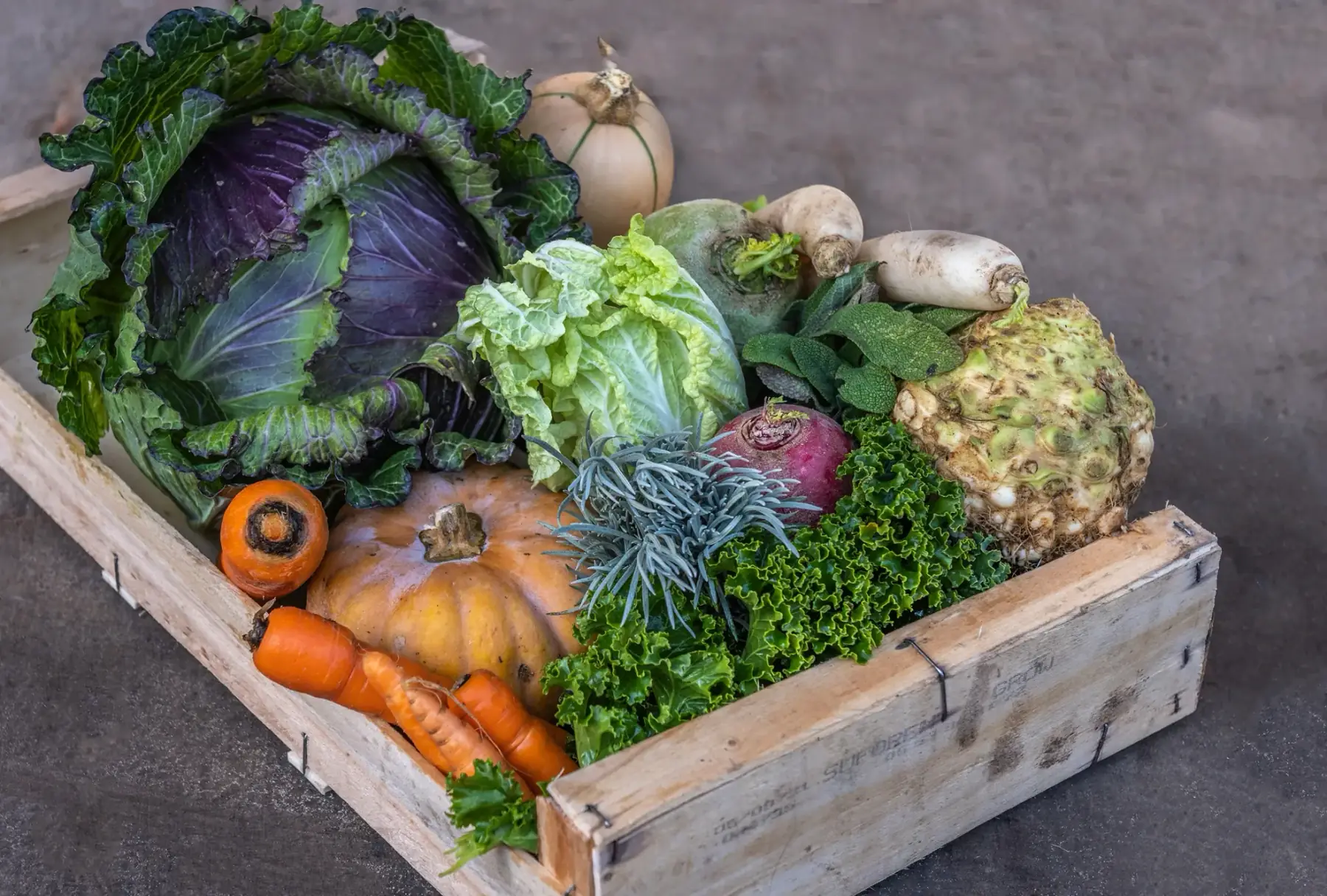 grand panier de légumes bio