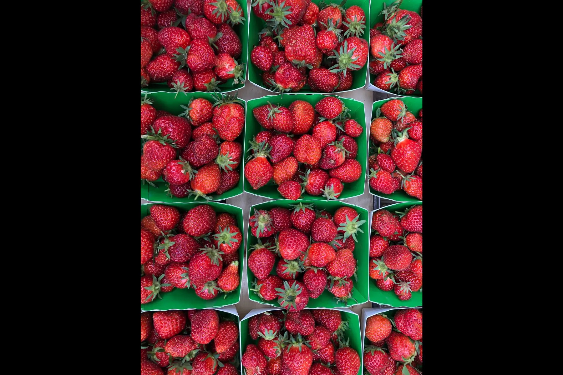 fraises