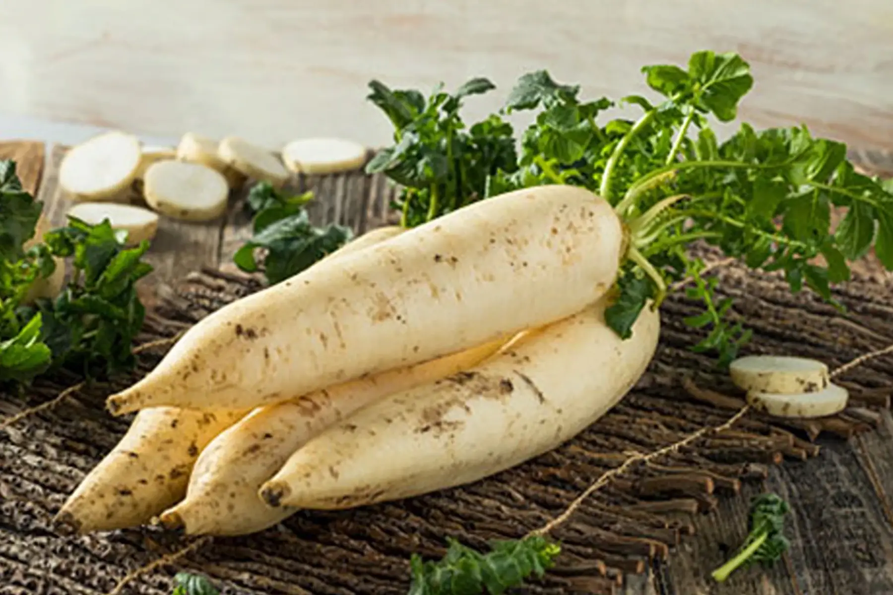 radis daikon