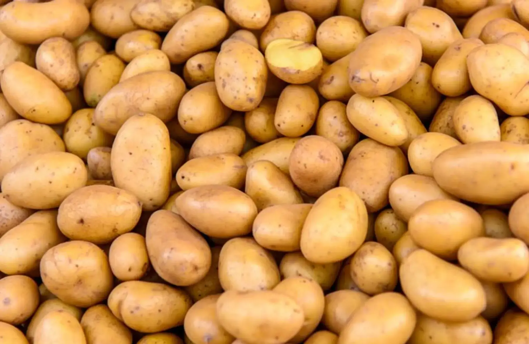 pomme de terre grenaille