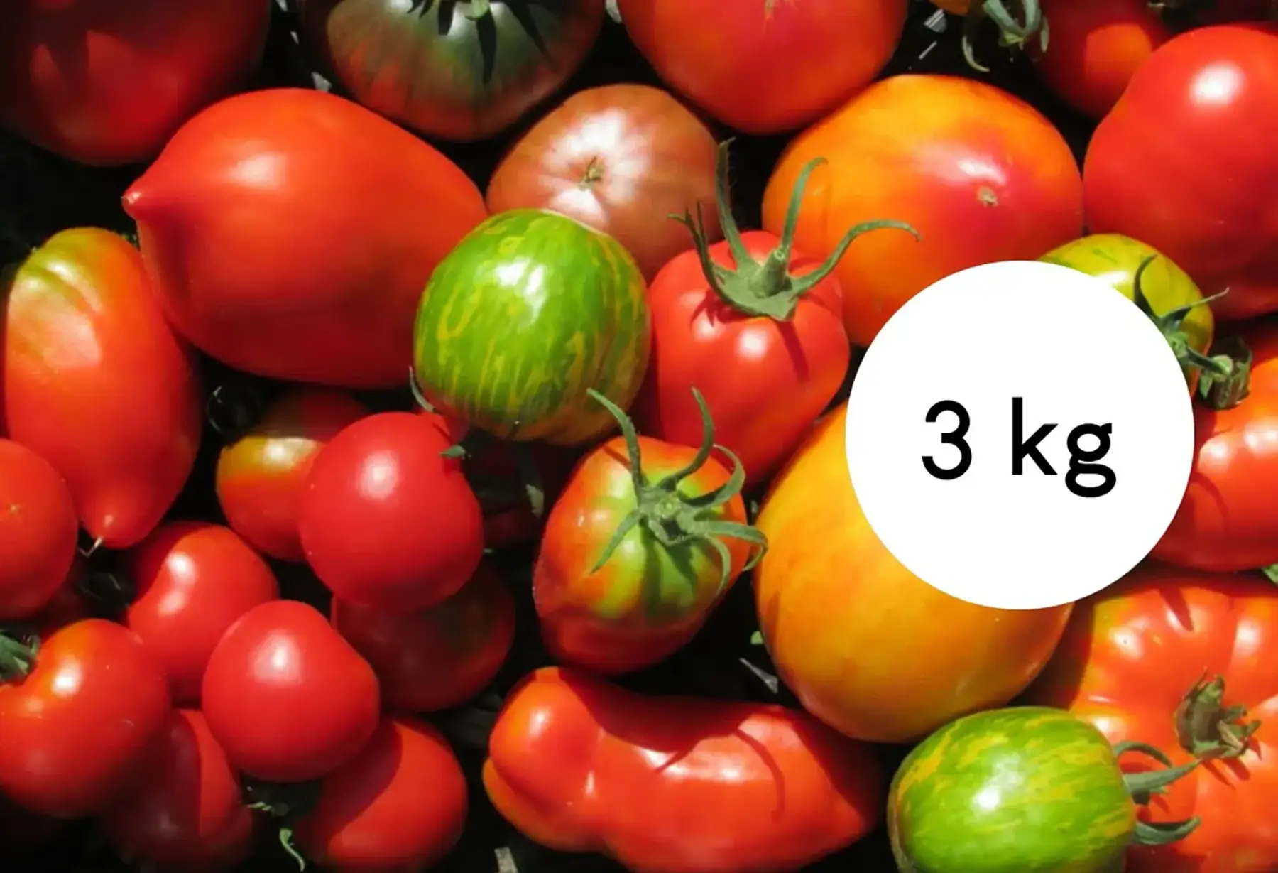 tomate ancienne mélange - 3kg
