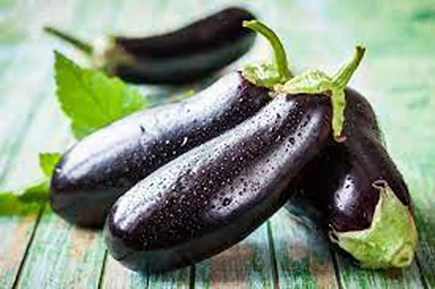 aubergine violette