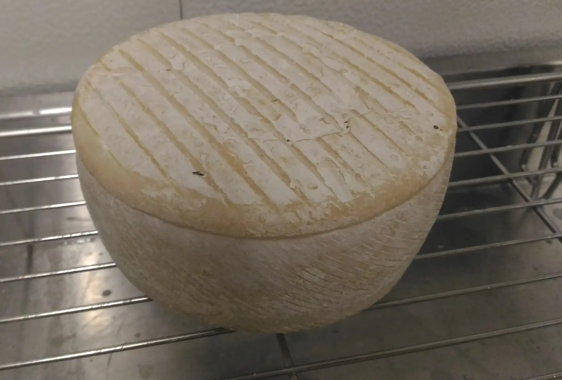tomme chèvre