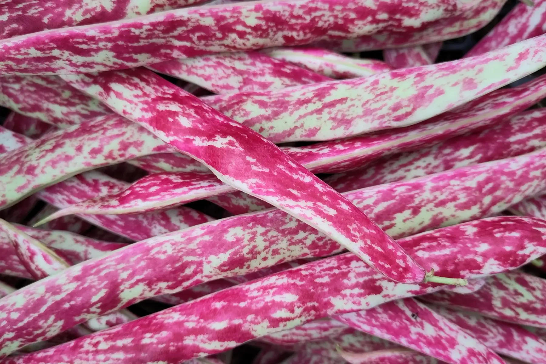 Les Jardins du Theil