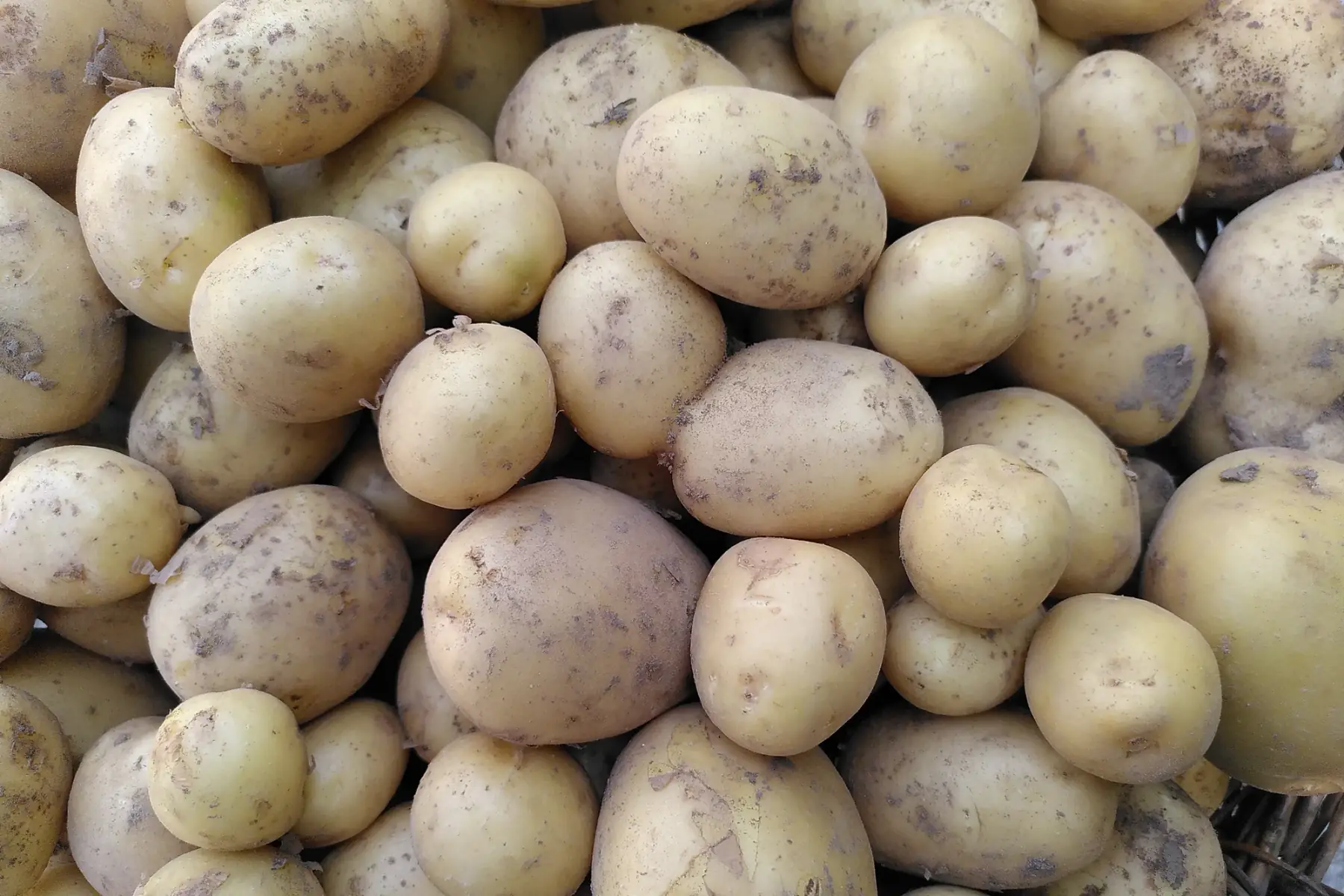 Les Jardins du Theil