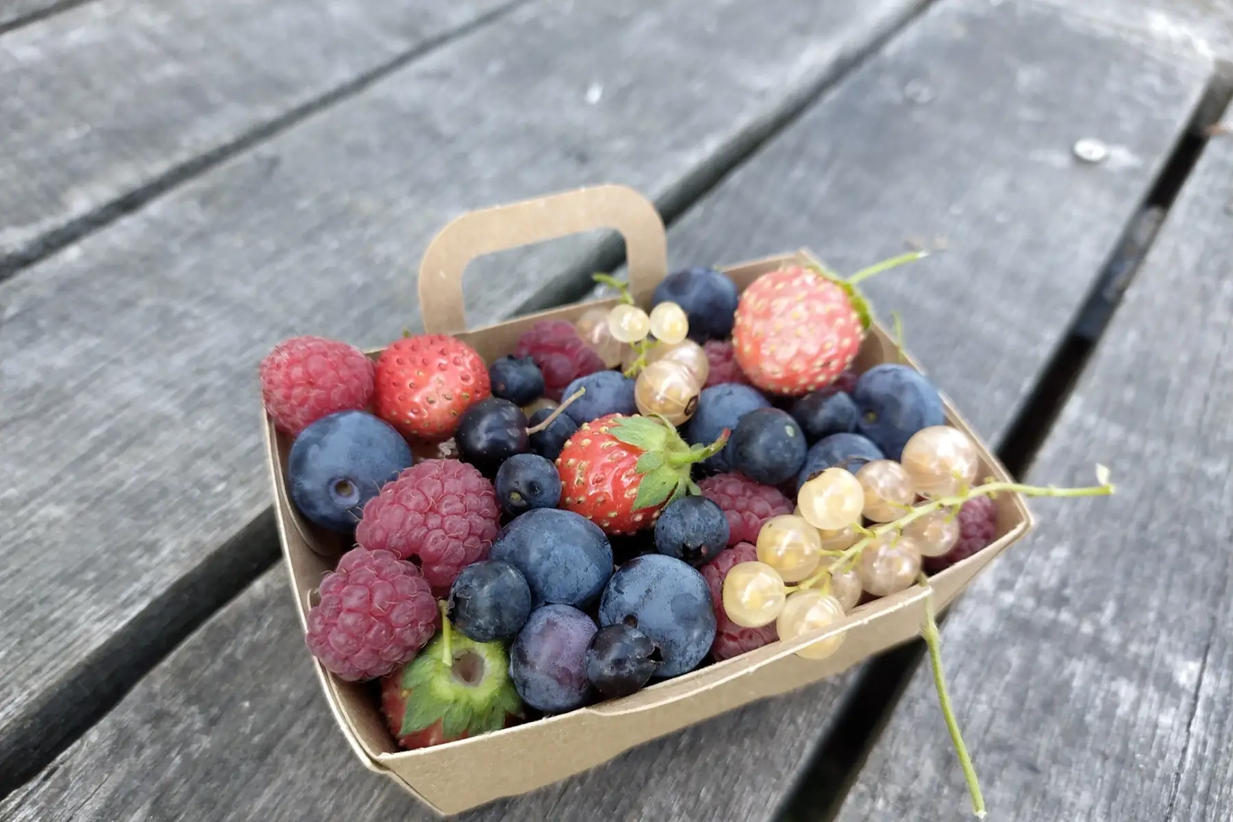 Mix de petits fruits barquette 125g