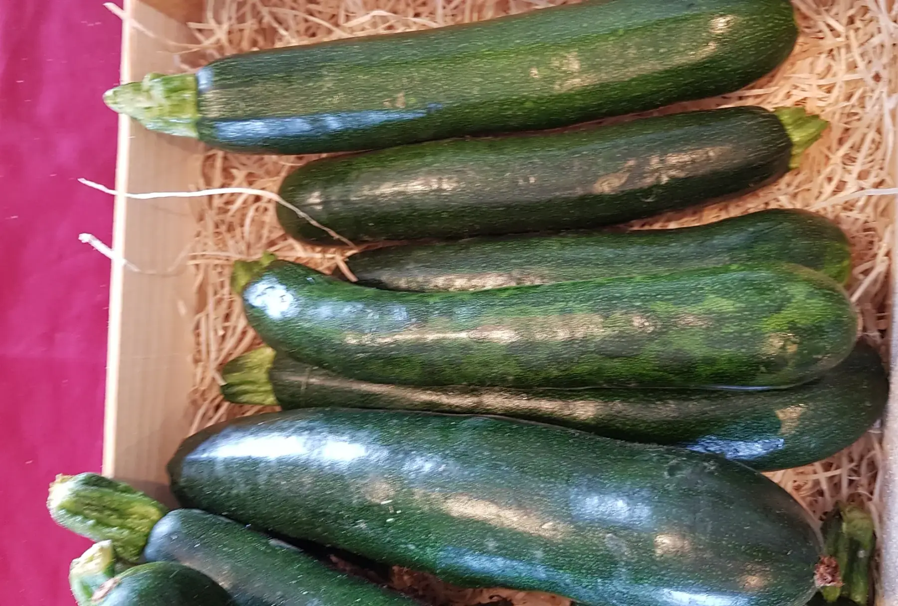 courgette