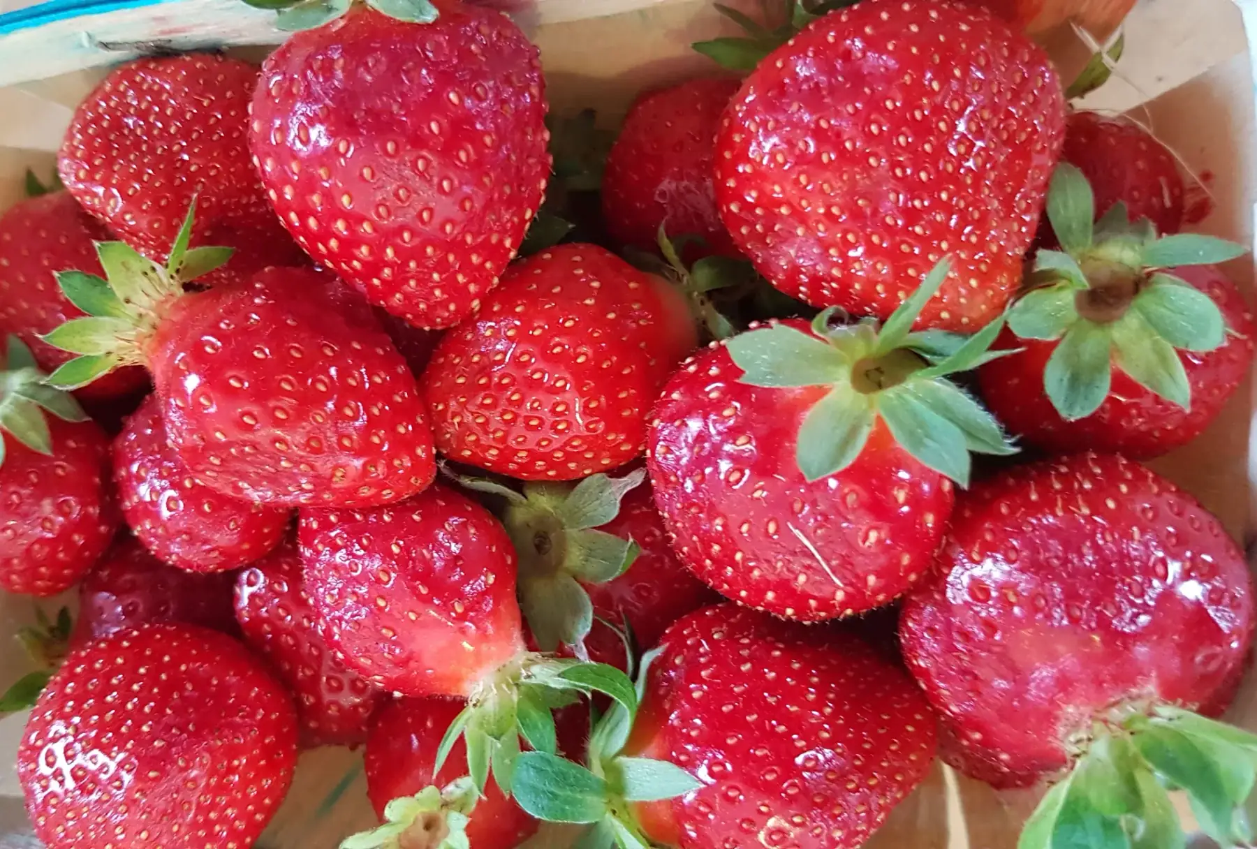 barquette de fraises - 500g