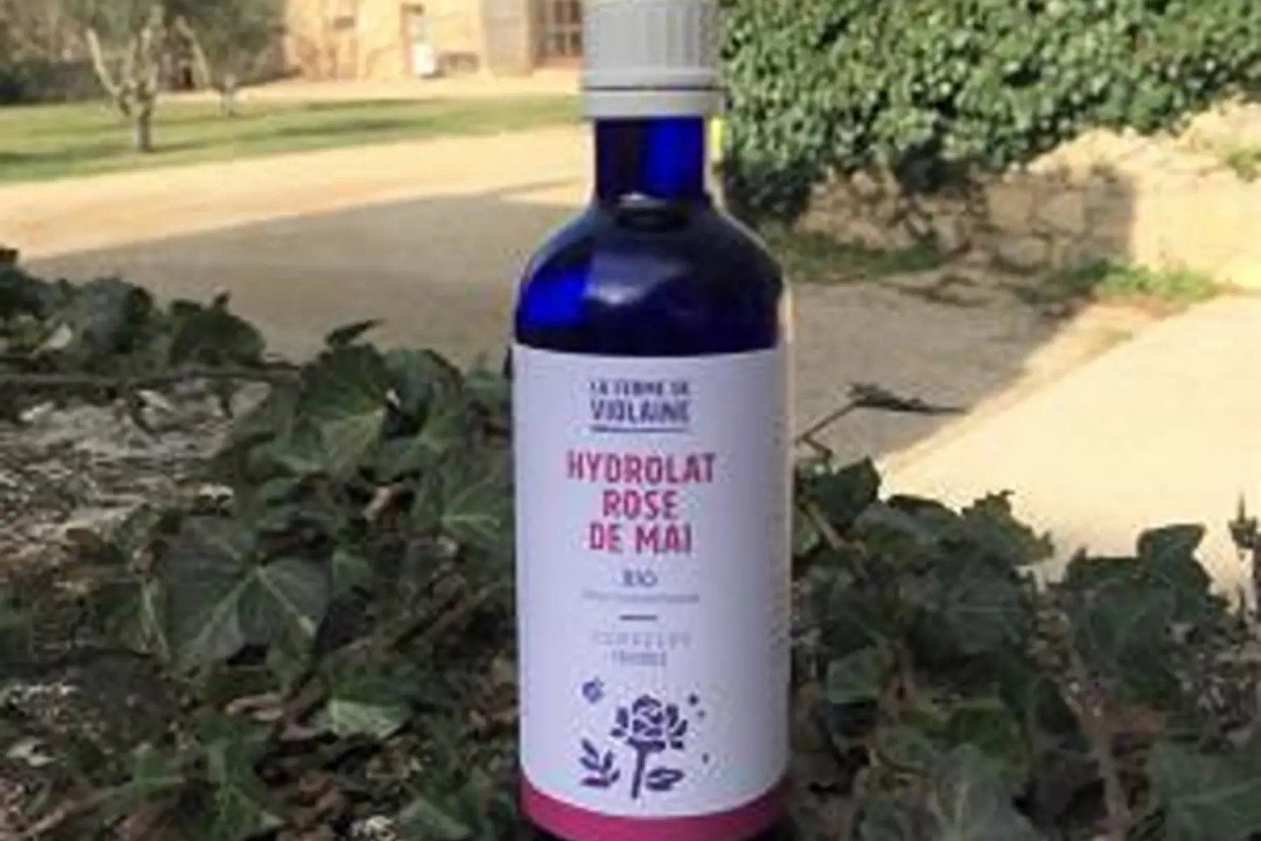 hydrolat de rose centifolia