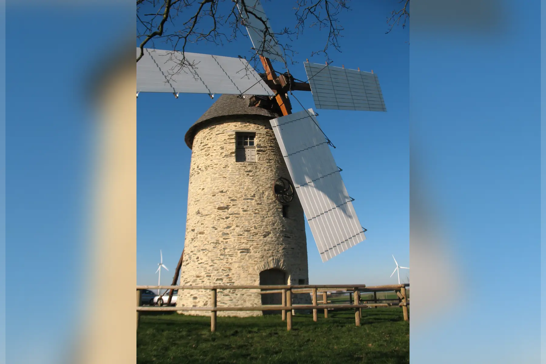 farine de blé t80 -5kg-