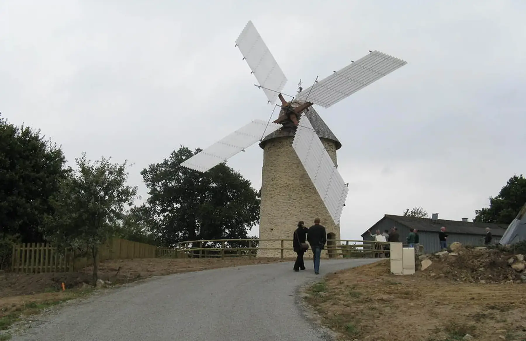 farine de sarrazin -5kg-