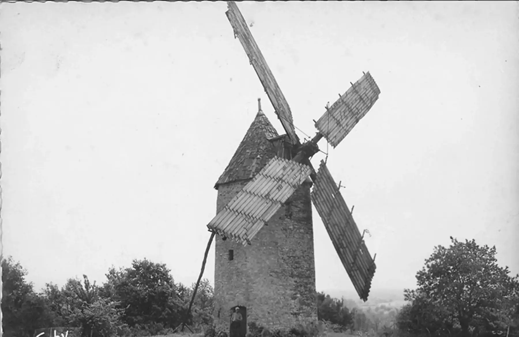 farine de petit épeautre (engrain)