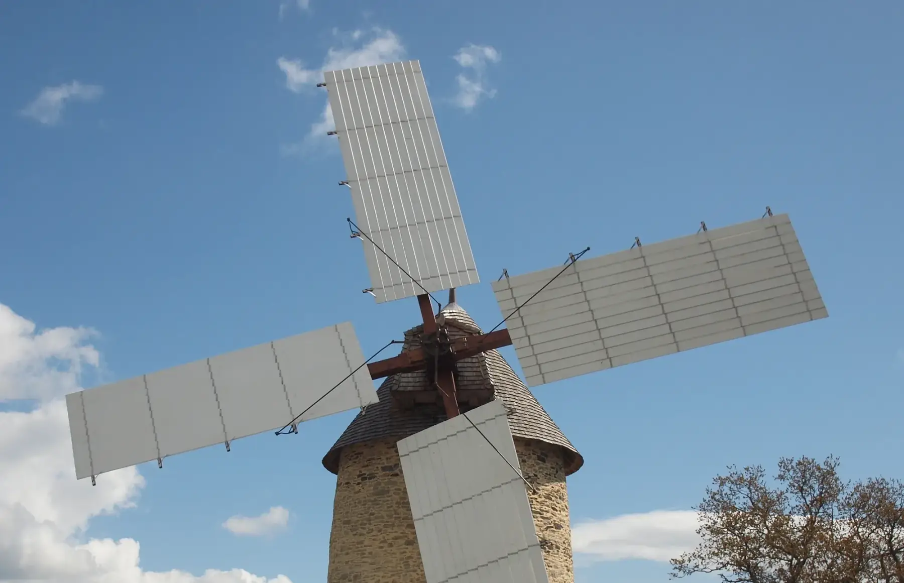 farine de blé t110 -5kg-