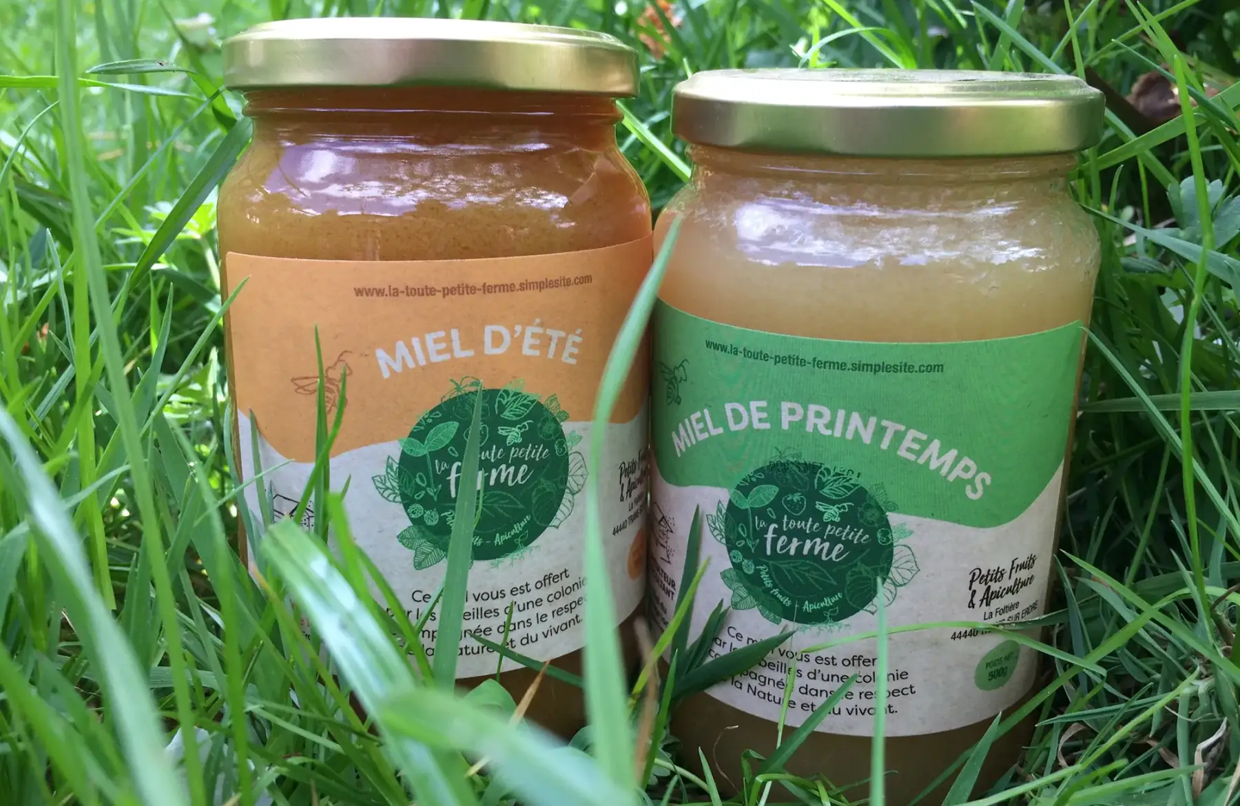 Miel d'été des marais (jussie) - 1kg