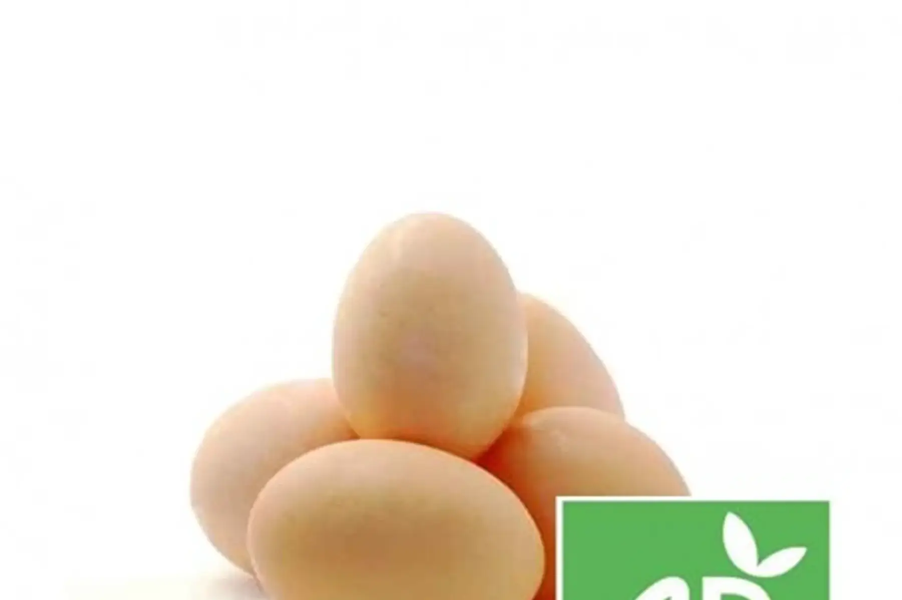 oeufs bio extra frais