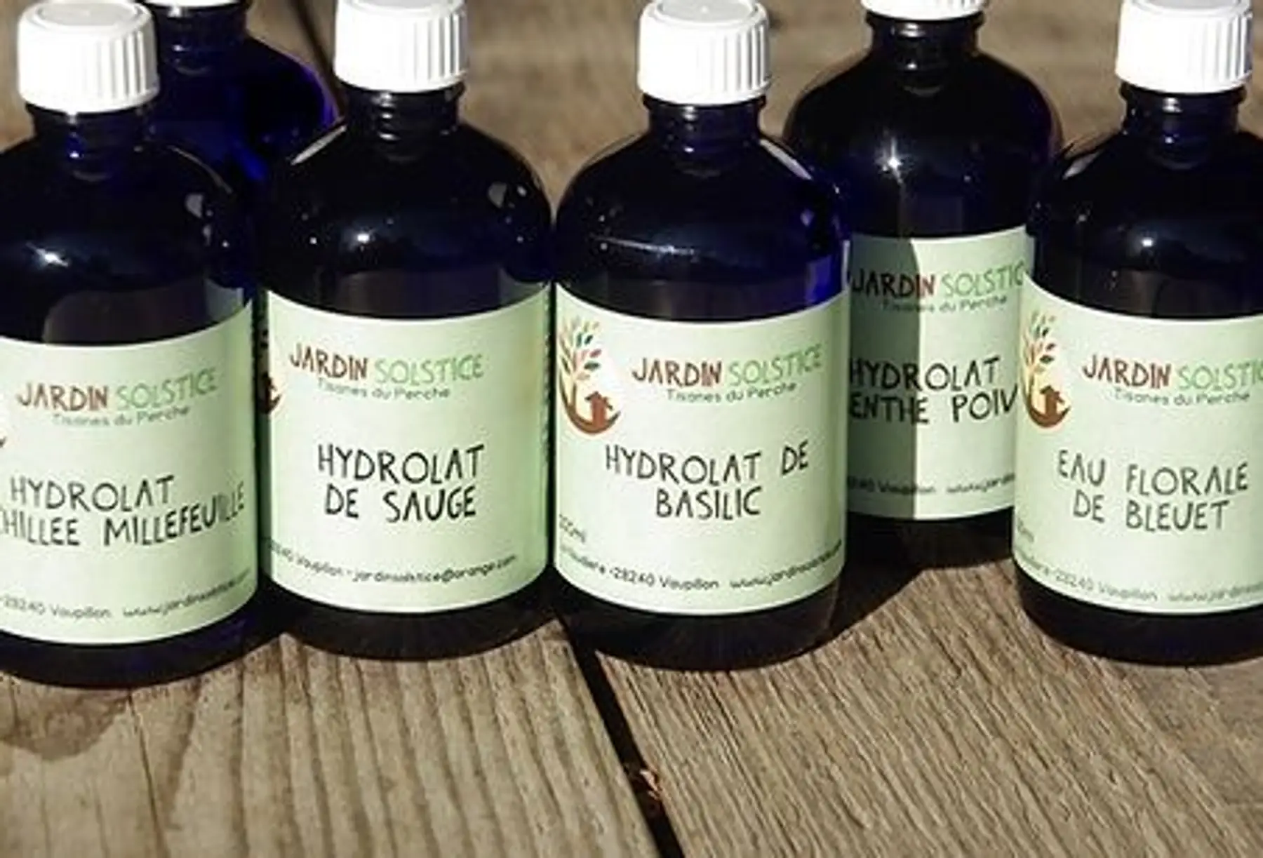 hydrolat de basilic sacré