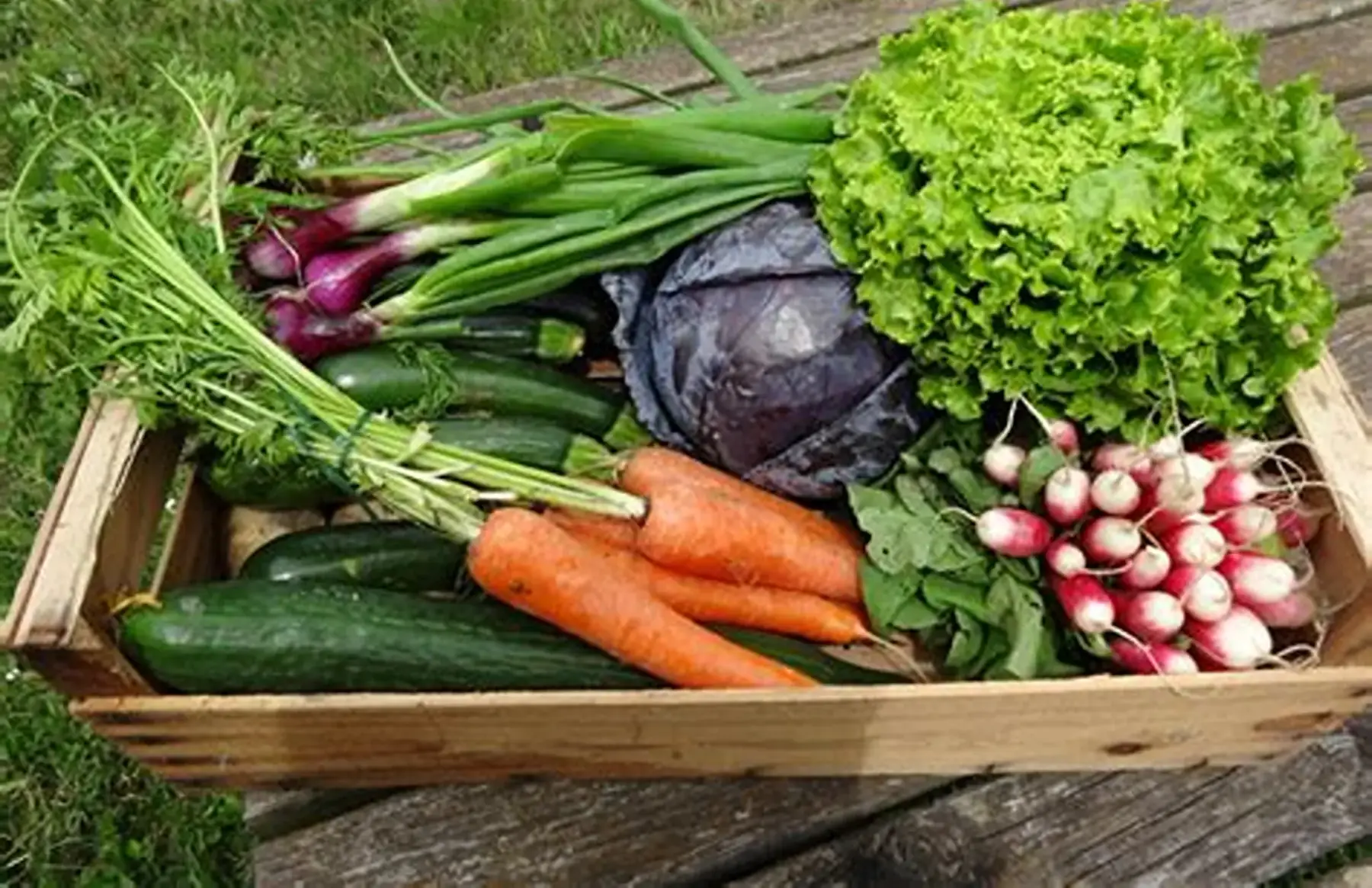 panier de légumes (gros)