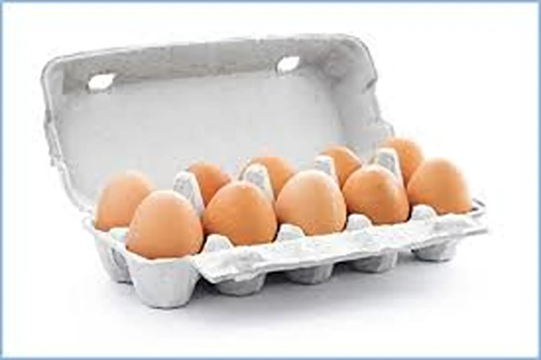boite 10 oeufs