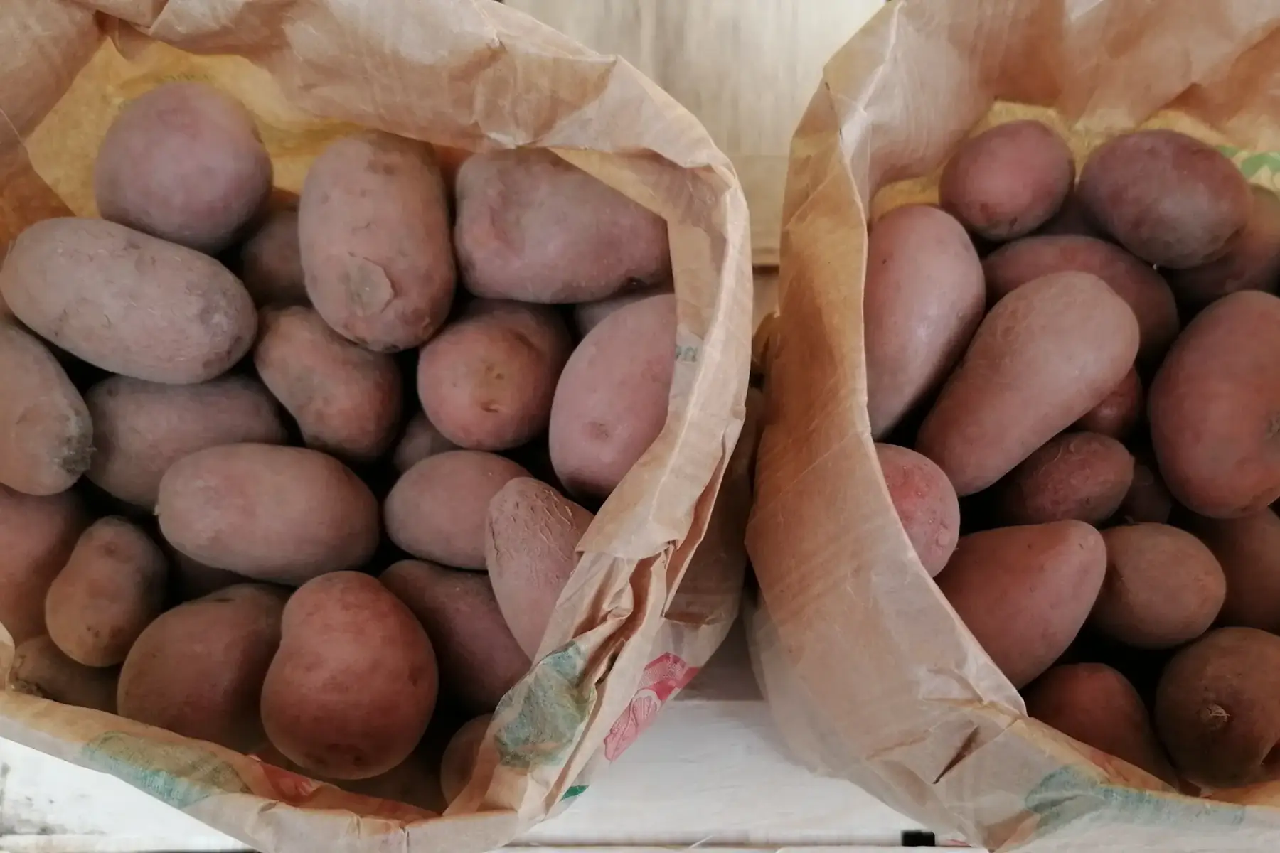 pommes de terre ALLIANS