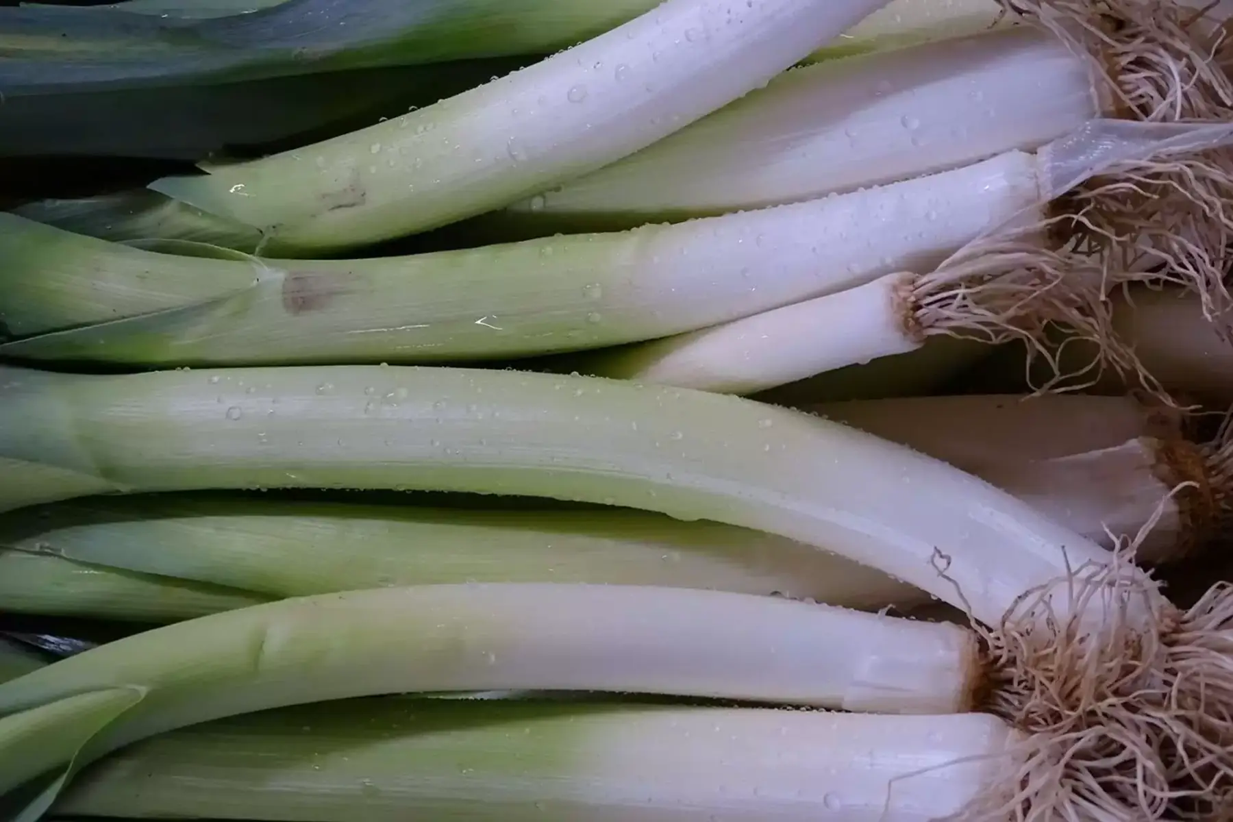 Poireaux 500g