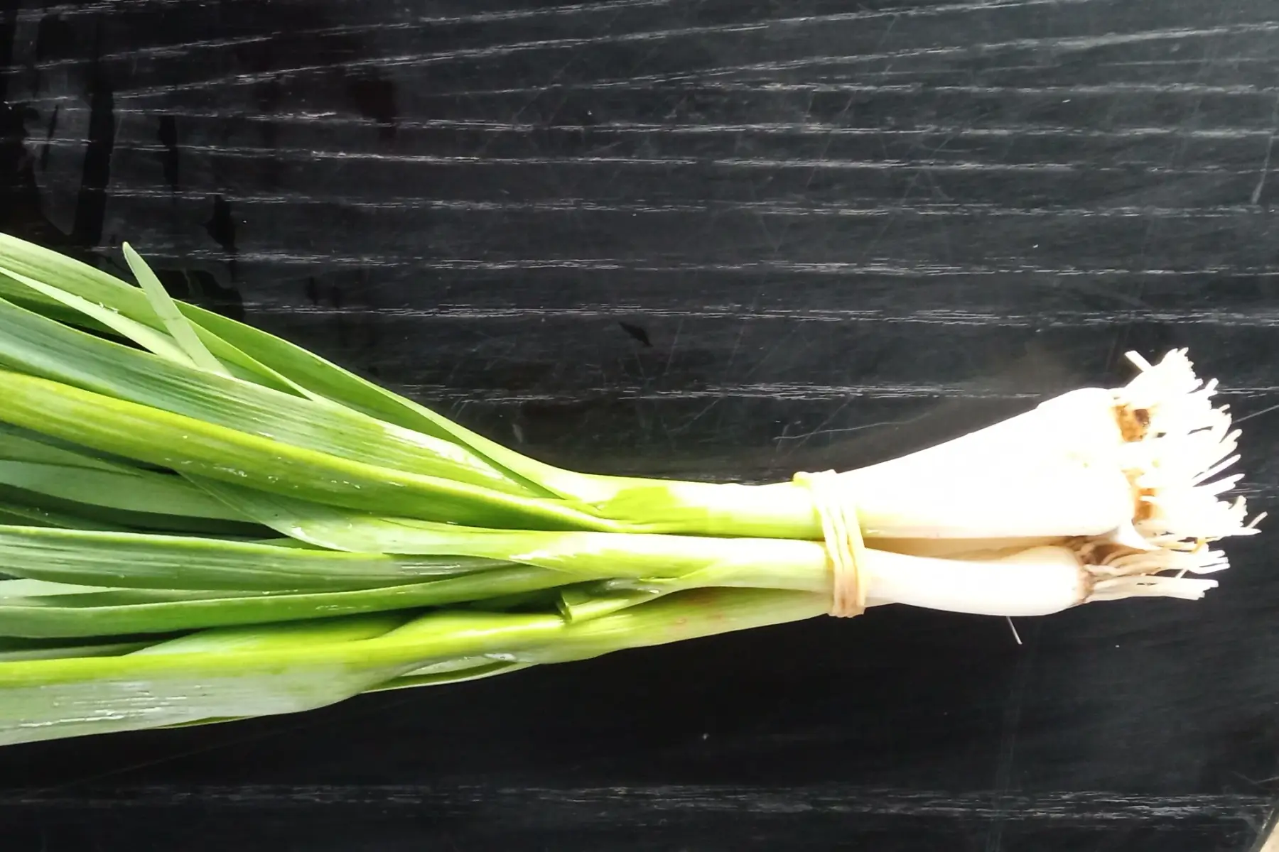 Aillet frais en botte