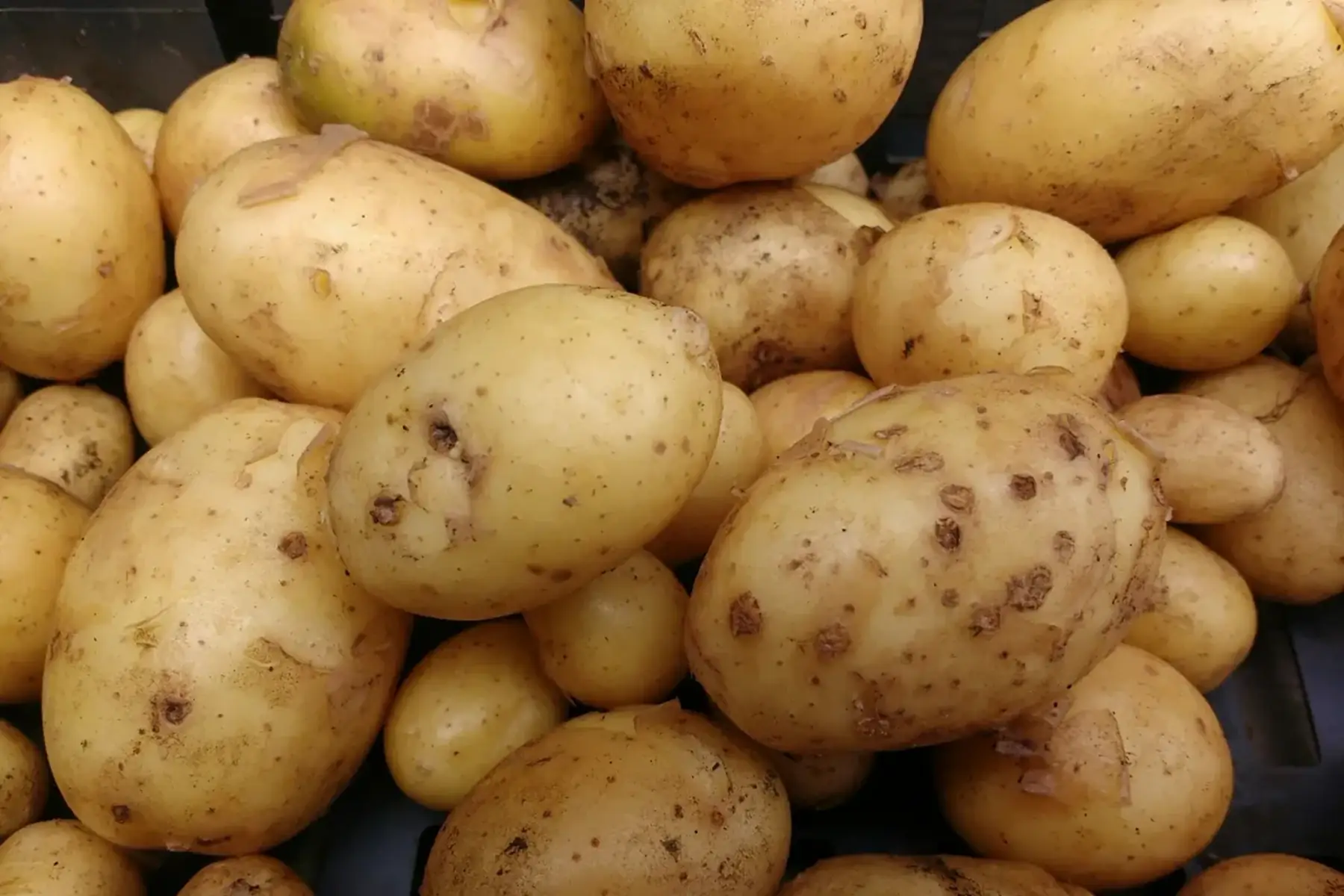 Pomme de terre nouvelle 500g