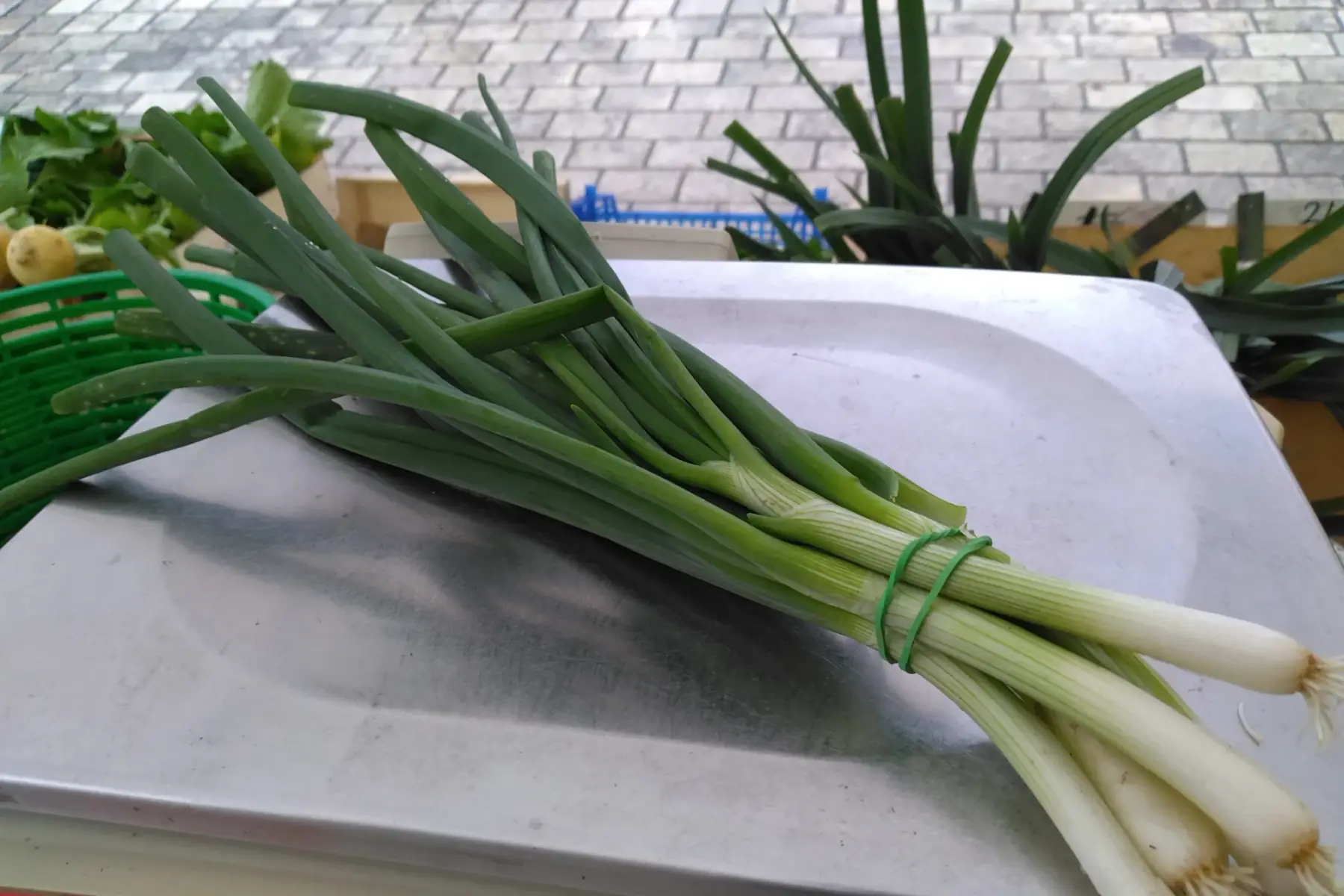 Botte oignon ciboule 250GR