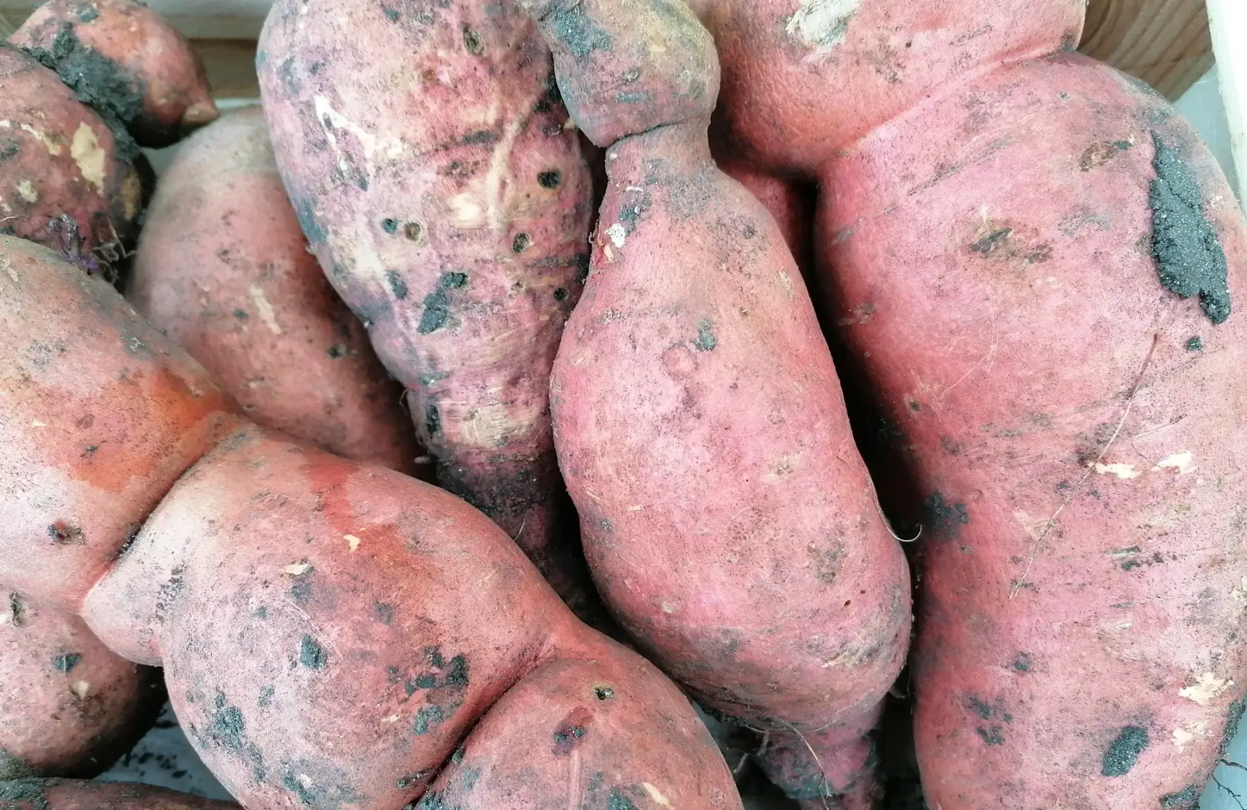 Association Régie Urbaine