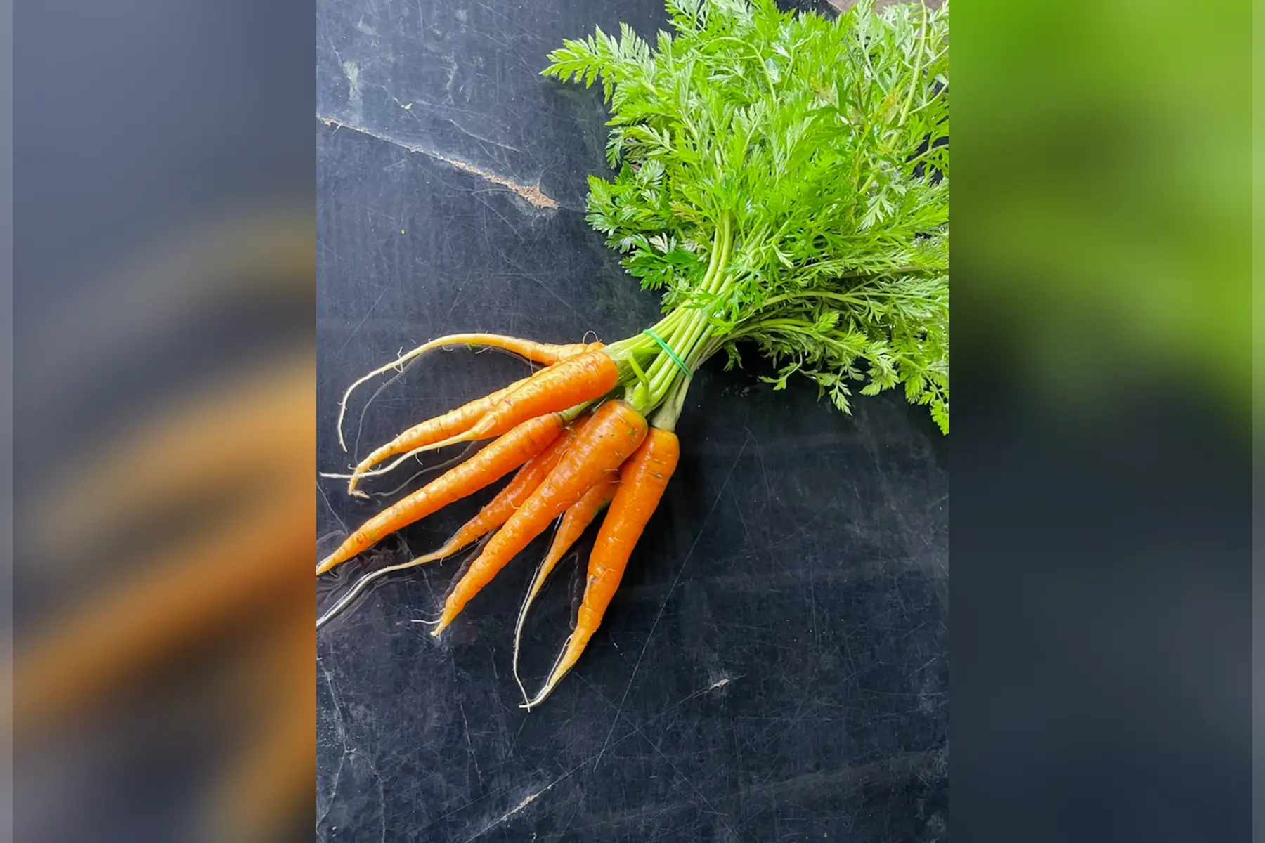 carottes de couleur botte 650g