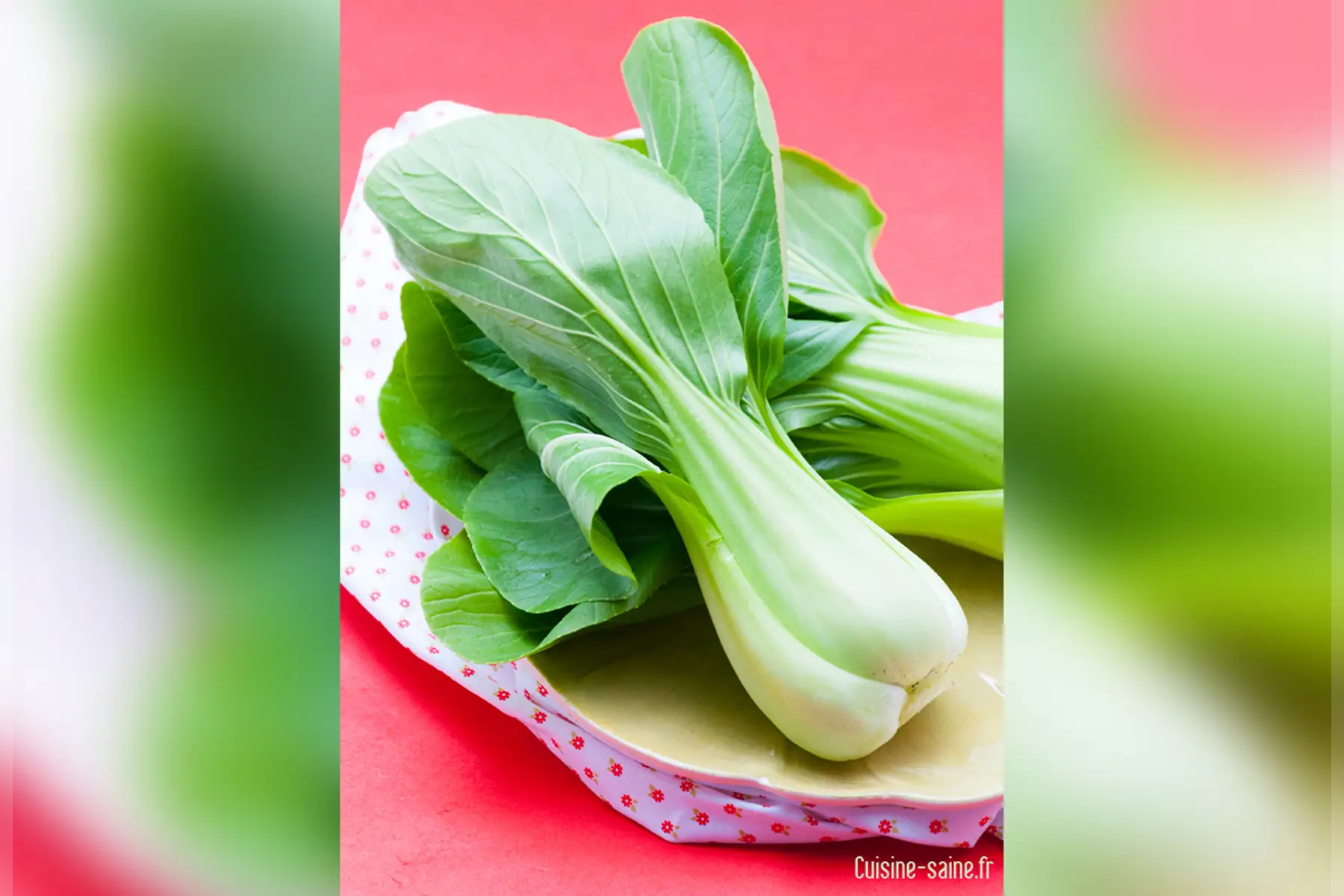 chou pak choi
